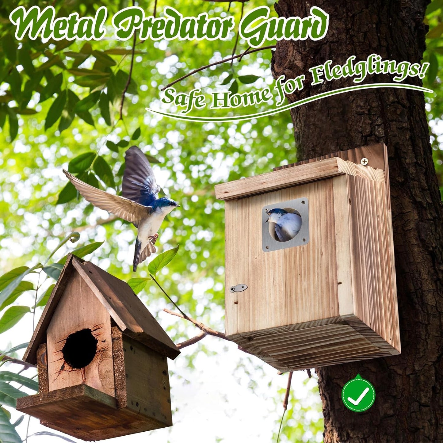 Dreyoo 2 Pack Cedar Bluebird Box Houses for Outside, 1-1/2” Entrance Hole Wooden Bird Houses with Metal Predator Guard, Secure Latch, Fledgling Grooves, Air Vents for Bluebird Wren Swallow Finch