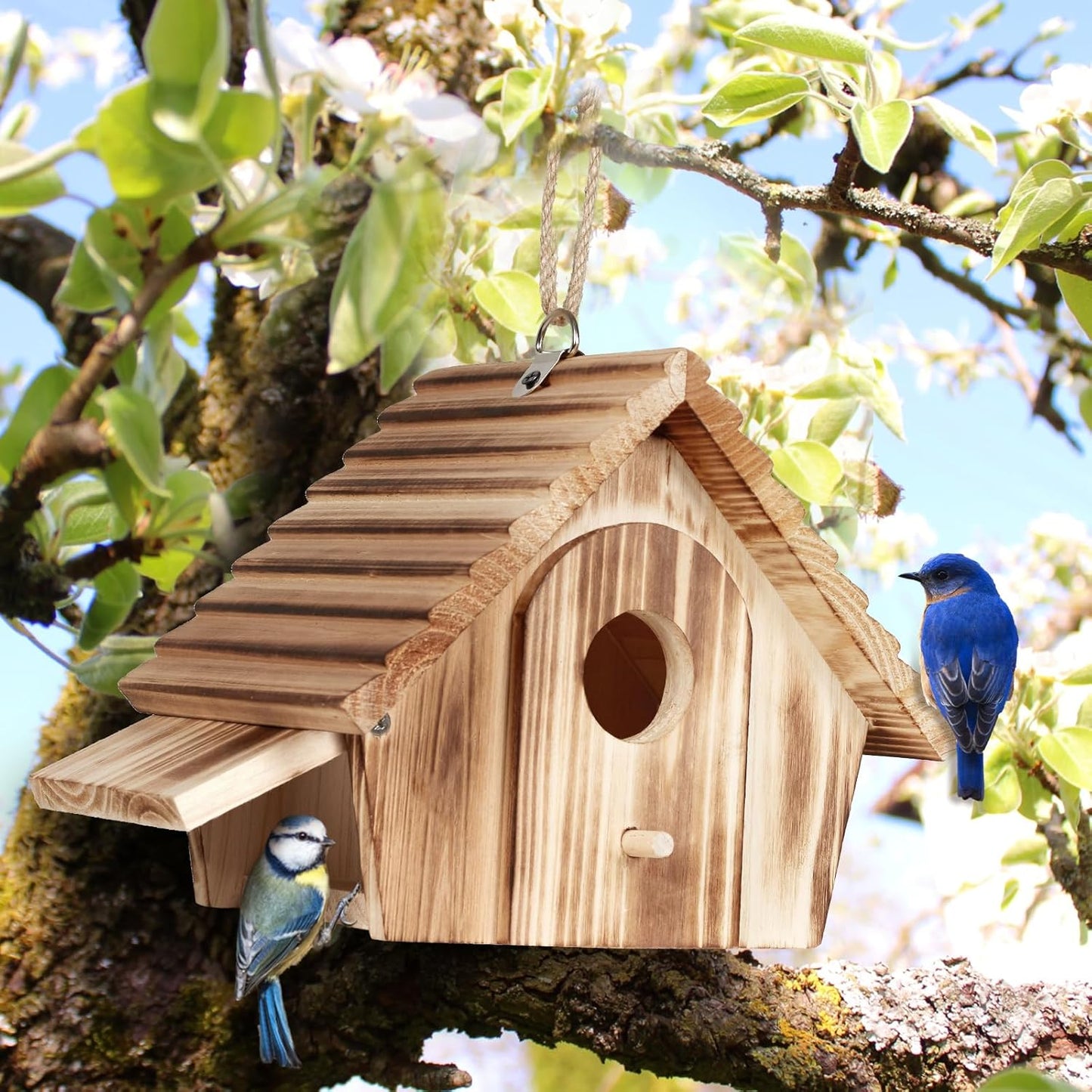 Bird House for Outside - Hanging Outdoor Birdhouse - Natural Wood Bird Nesting Box for Bluebirds, Hummingbirds, Finches, Wrens, Cardinals - Easy to Clean & Durable Garden Bird Shelter
