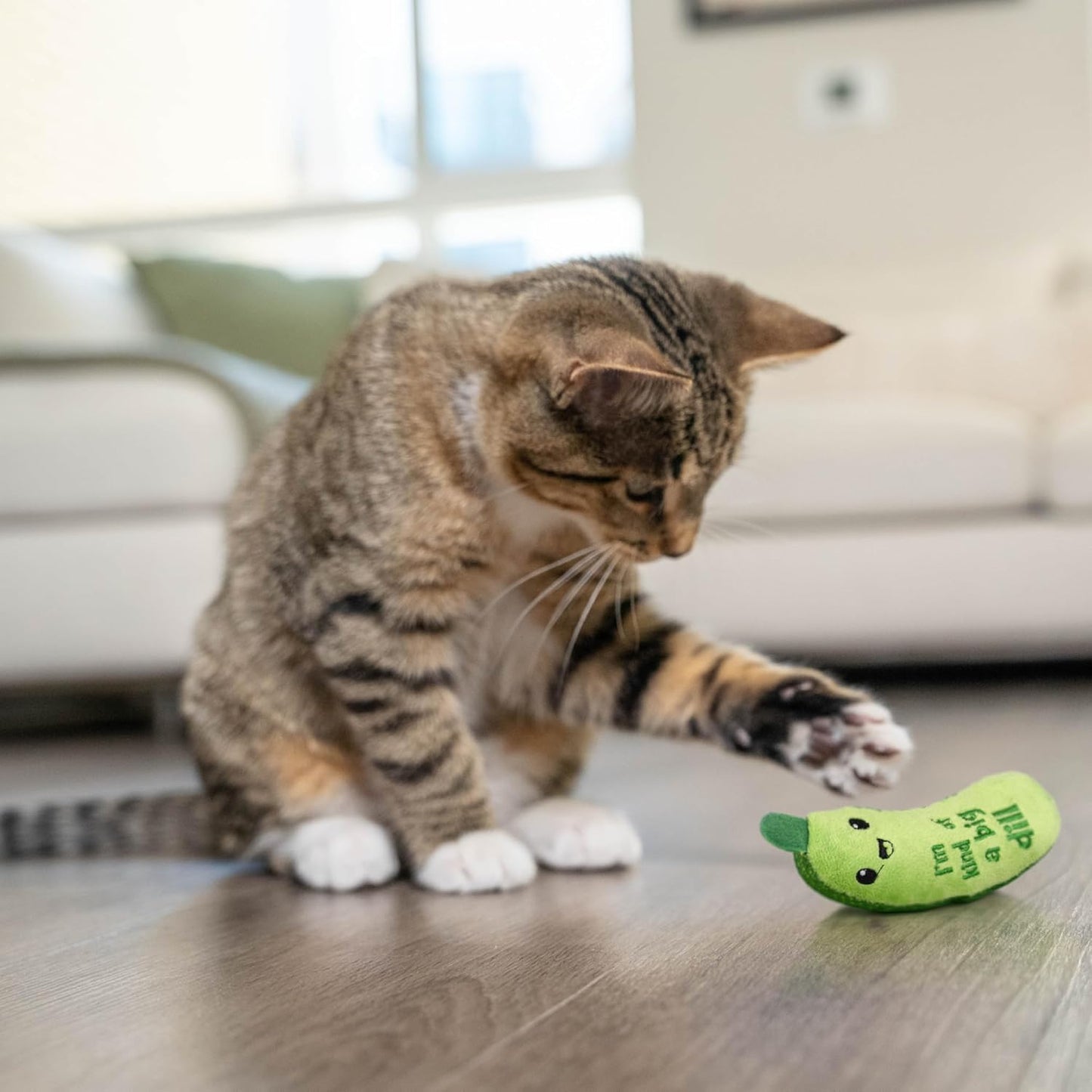Catstages Crunchy Pickle Kicker Cat Toy – Plush Crinkle Toy with Catni