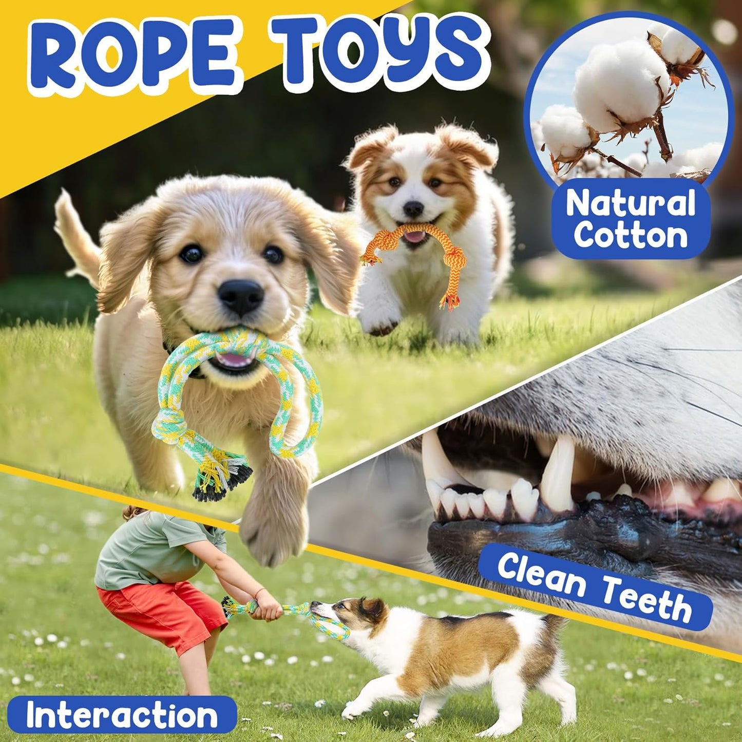 Puppy Toys for Teething, 9 Pack Interactive Dog Toys for Small Dogs, P