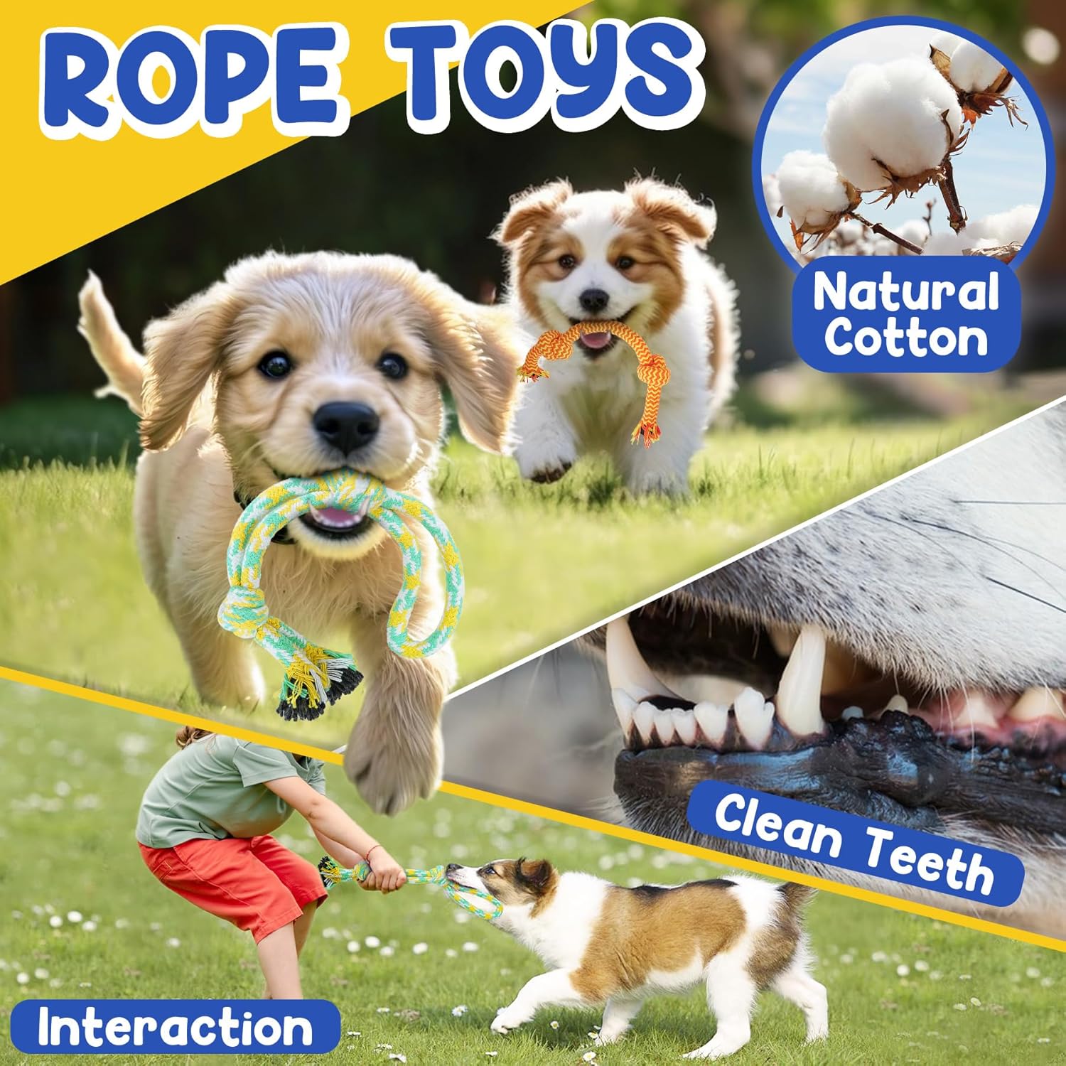 Puppy Toys for Teething, 9 Pack Interactive Dog Toys for Small Dogs, P