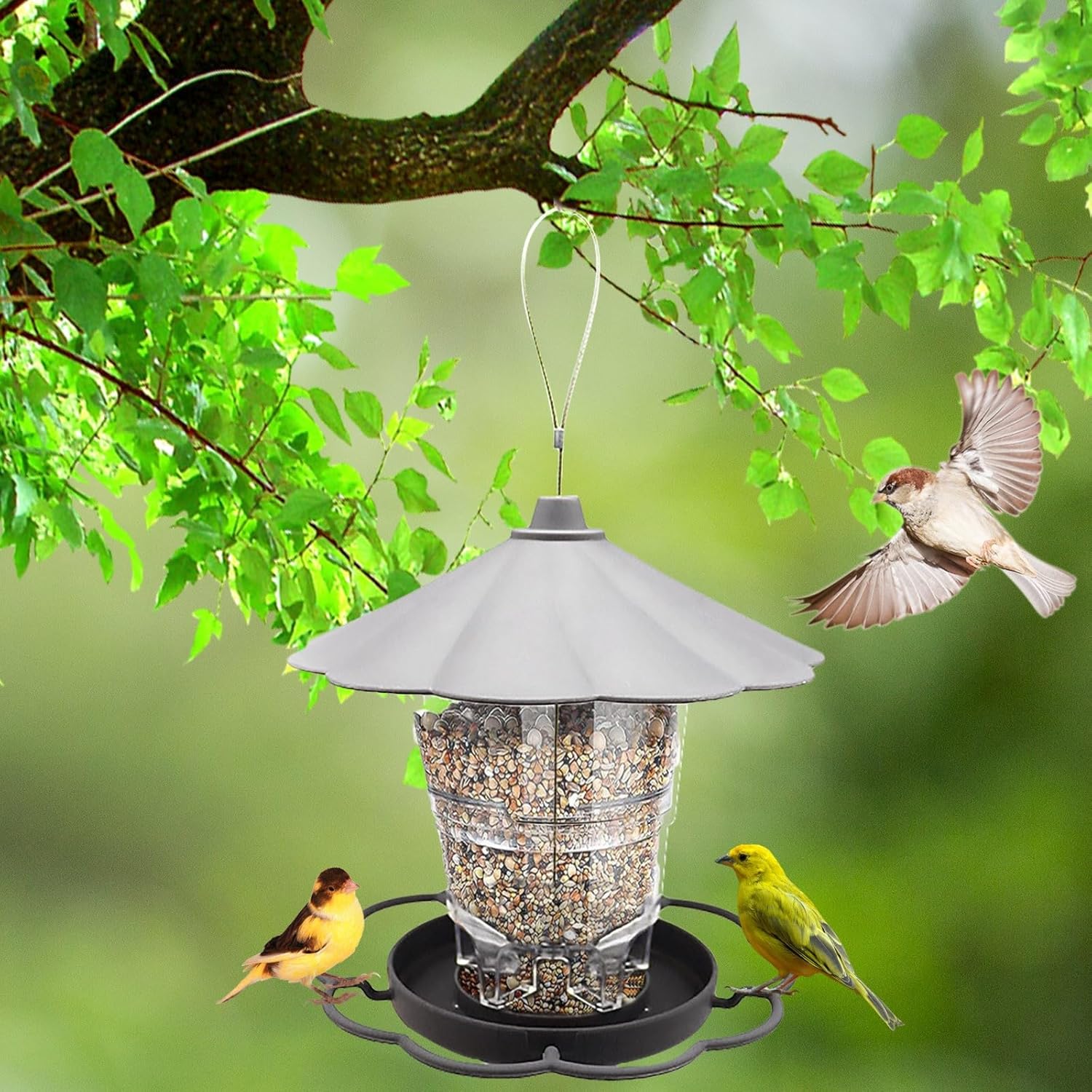 Bird Feeders for Outdoors, 3.5LB 360 Degree Plastic Squirrel Proof Lar