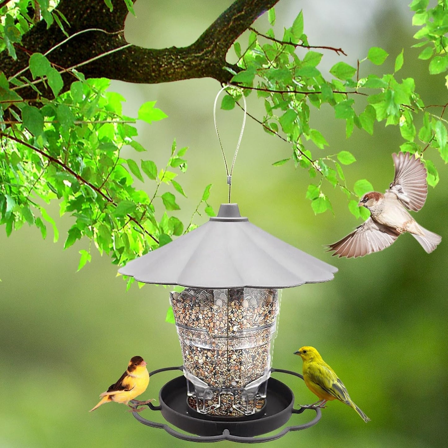 Bird Feeders for Outdoors, 40 oz Plastic Large Capacity 360 Degree Squ