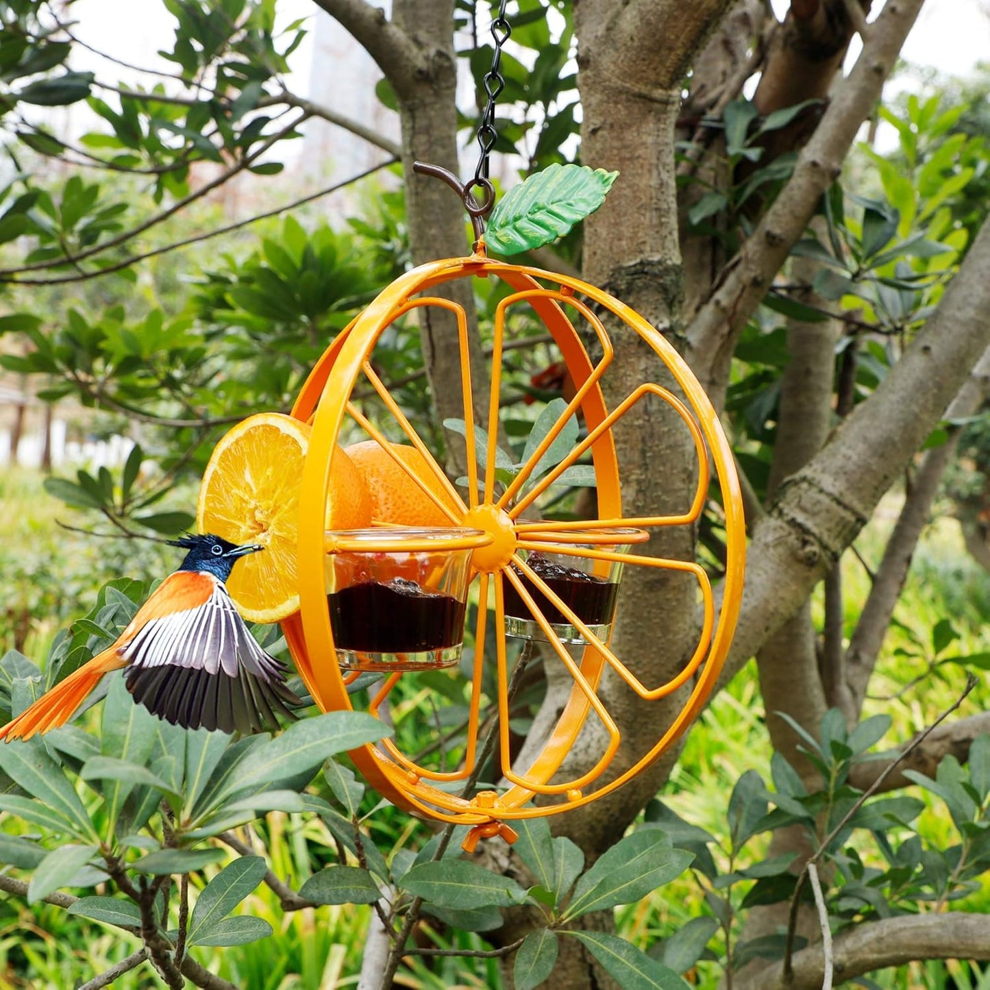 FORUP Oriole Bird Feeder for Outdoors Jelly and Oranges, Orange Fruit Oriole Jelly Bird Feeder, Outdoor Garden Metal Hanging Drinking Grape Jelly Container Hummingbird Feeder