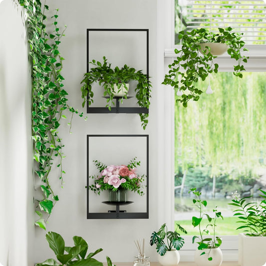 Black Metal Wall Plant Holder - 2-Pack Wall Mounted Plant Stands and H