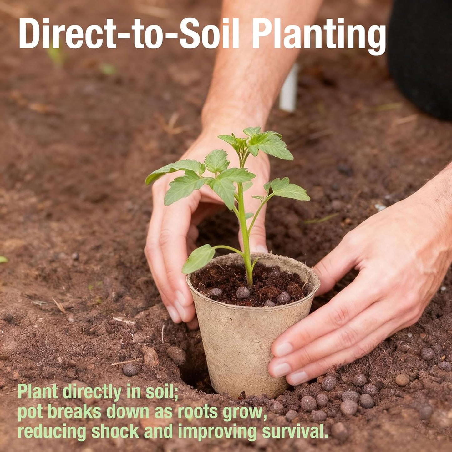40 Pack Biodegradable Peat Pots with Drainage Holes – 3.15 Inch Organi