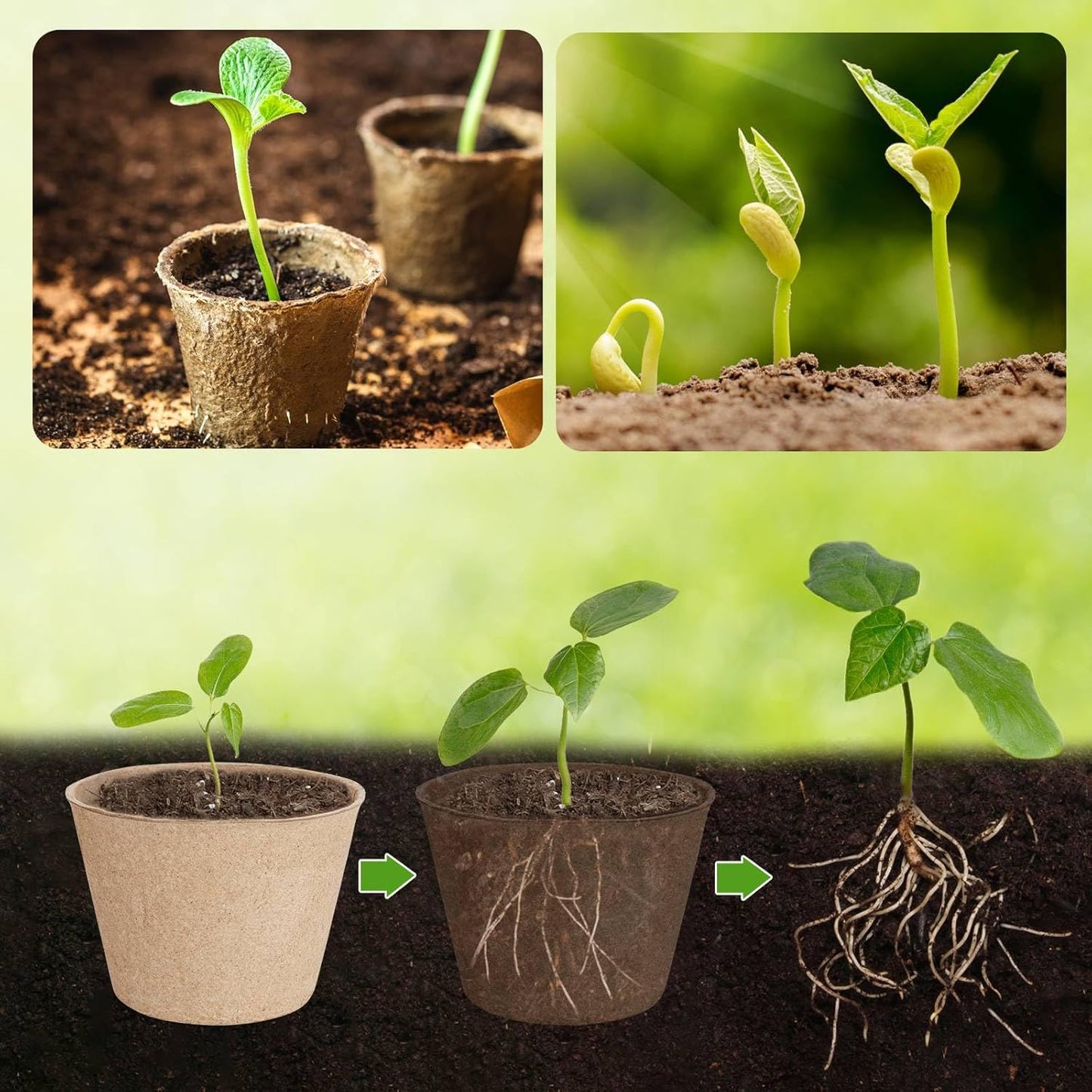65 Pcs Organic Peat Pots, 4 Inch Nursery Pot Set, Round Plant Seedling