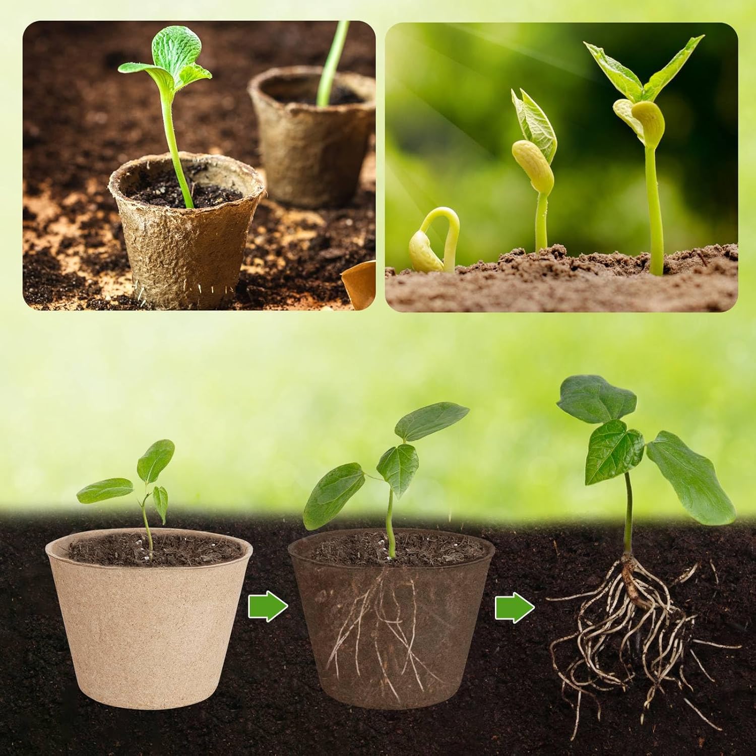 65 Pcs Organic Peat Pots, 4 Inch Nursery Pot Set, Round Plant Seedling