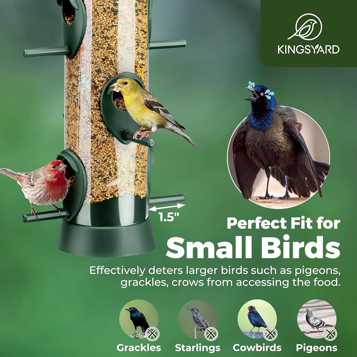 Kingsyard 2 Pack Tube Bird Feeders for Outdoors Hanging, Wild Bird Feeder with 6 Feeding Ports, Easy to Clean & Refill, 2 lbs Seed Capacity, Great for Attracting Finches, Cardinals (Green)