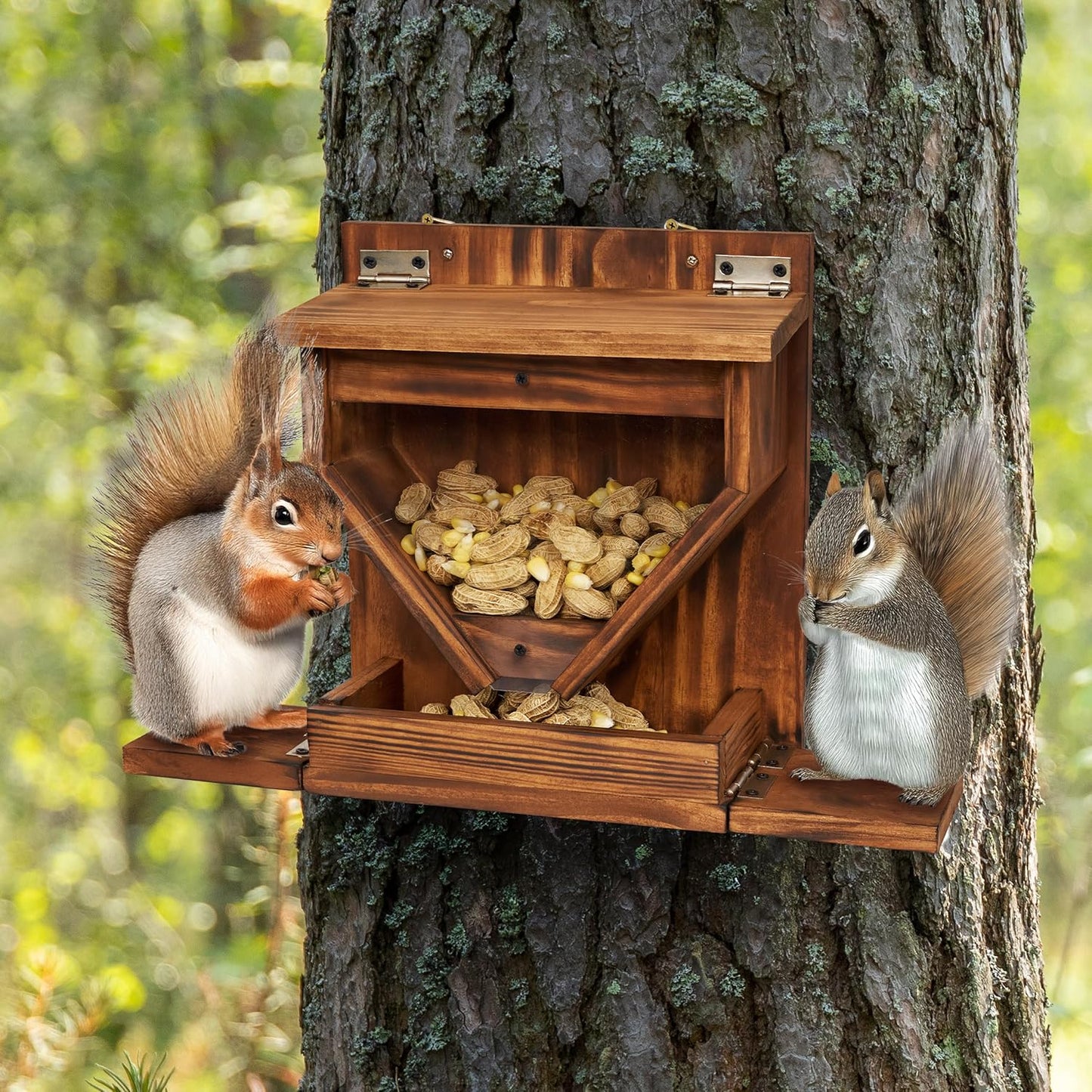 MIXUMON Wood Squirrel Feeder, Funnel Squirrel Feeders for Outside Winter, Wooden Chipmunk Feeder for Corn, Peanuts, Durable Box Easy to Fill with Removable Top Panel