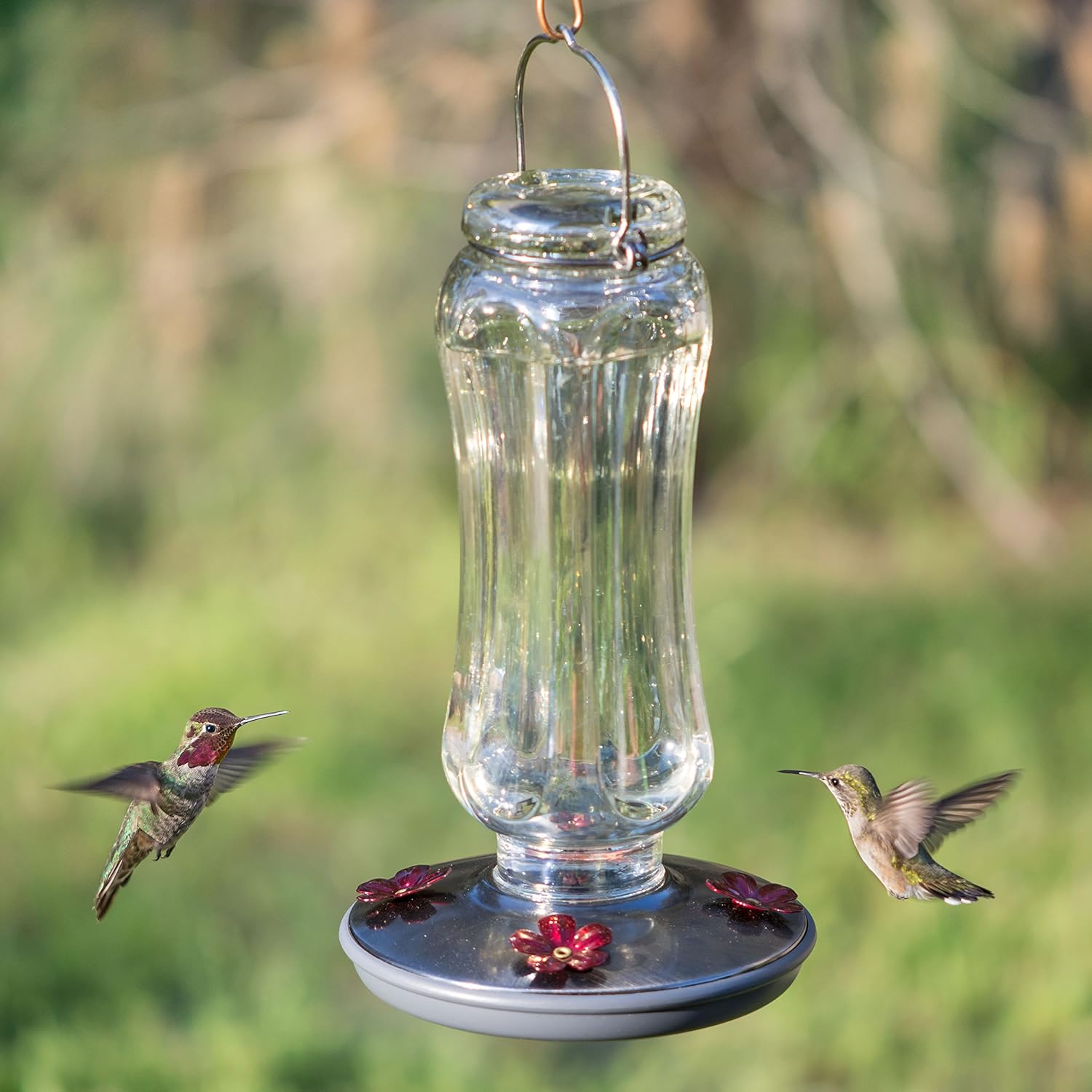 Perky-Pet Starglow Vintage Glass Hummingbird Feeder - 16 fl oz capacit