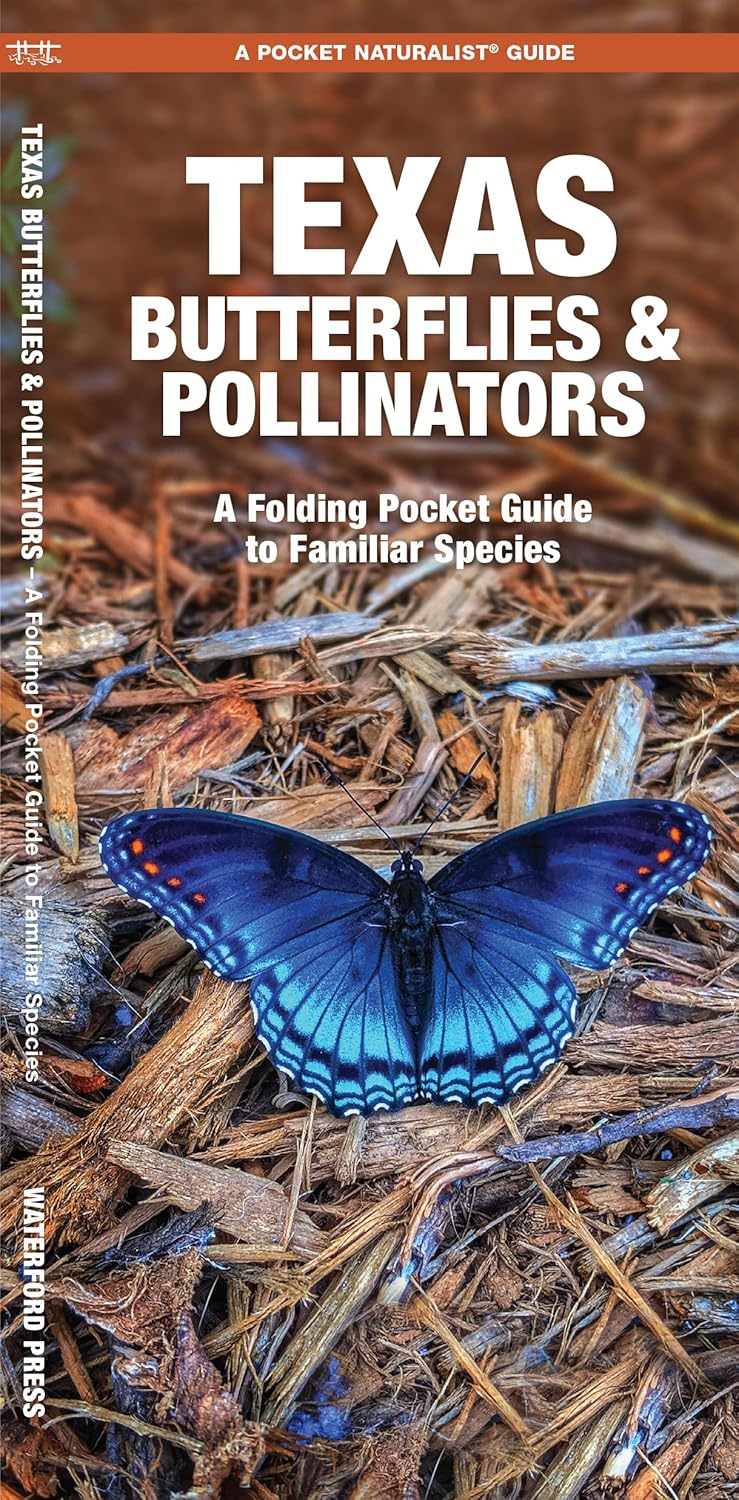 Texas Butterflies & Pollinators (Nature Observation North America)