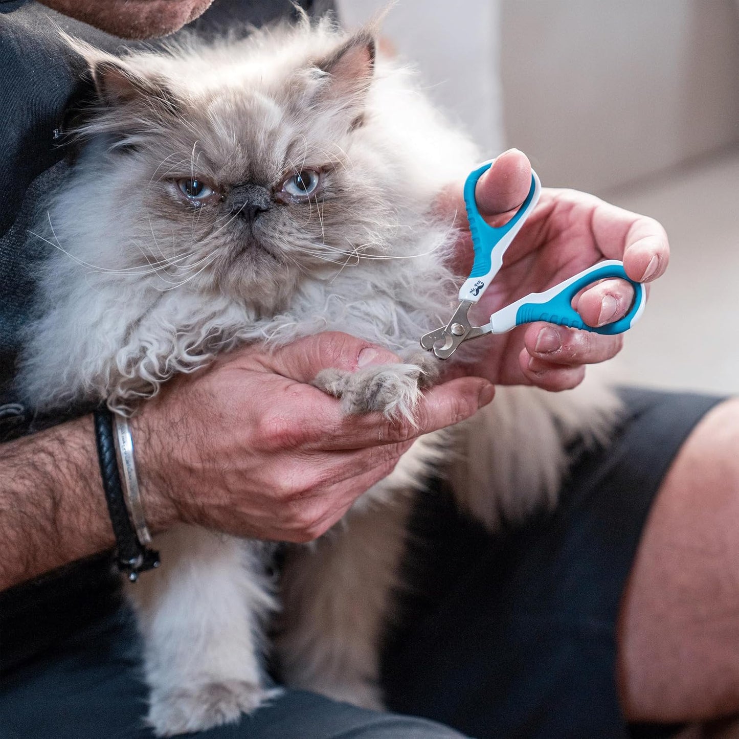 Mr. Pen- Cat Nail Clipper, Pet Nail Trimmers, Kitten Claw Clippers, Ea