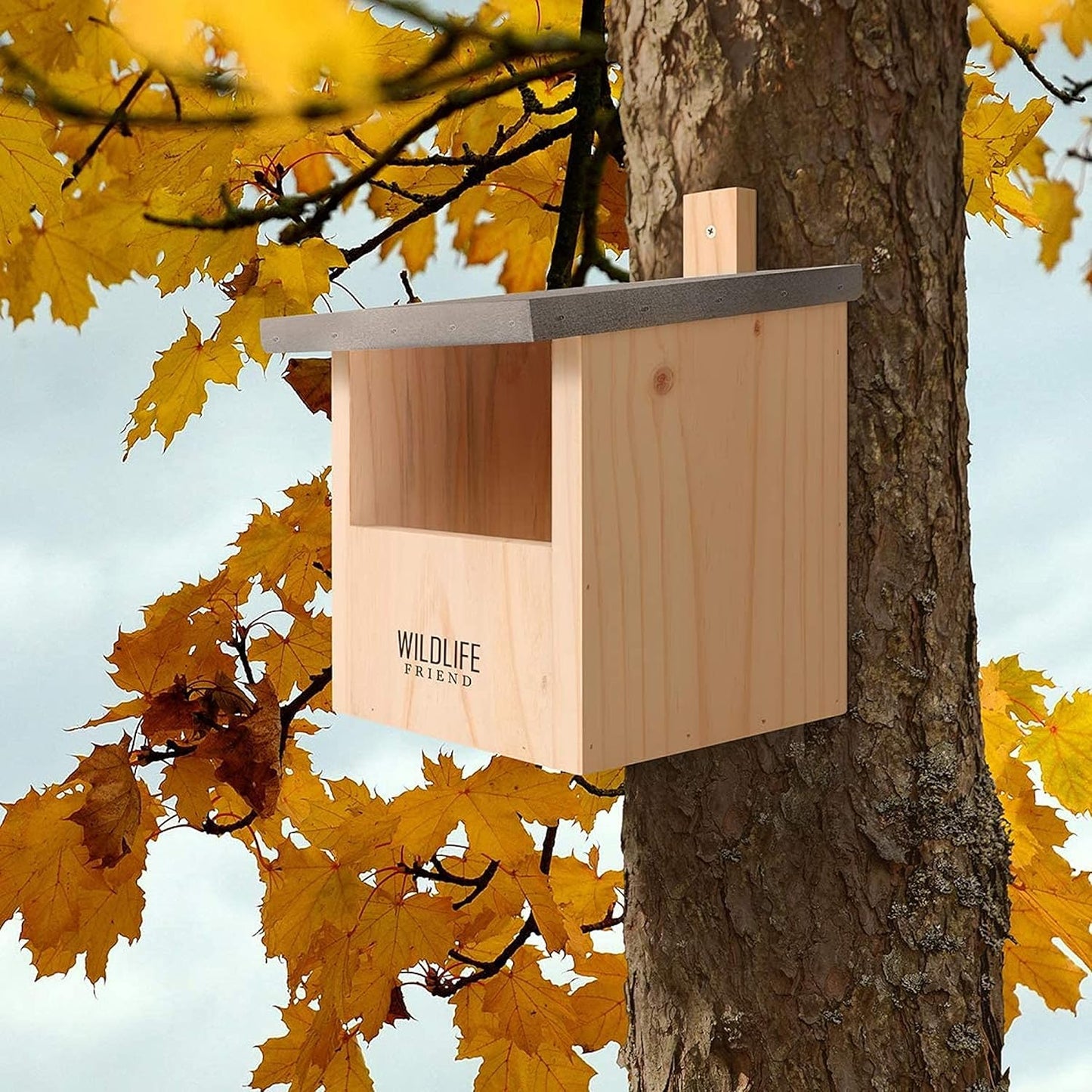 I Solid Wood Birdhouse for Robins & Co with Metal Roof - 100% Weatherproof - Nesting & Breeding Box for Garden Redstart, Niche Breeding Birds, Robin Nesting Box
