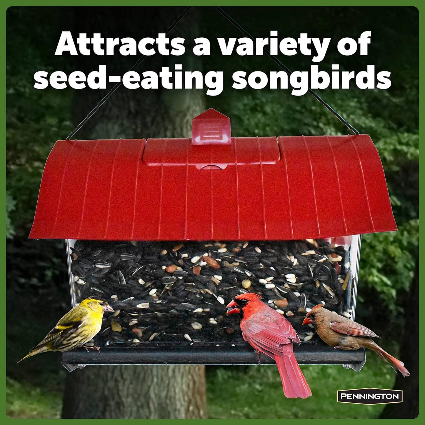 Pennington Country Barn Hopper Bird Feeder, 4.5-Pound Capacity Bird Feeders