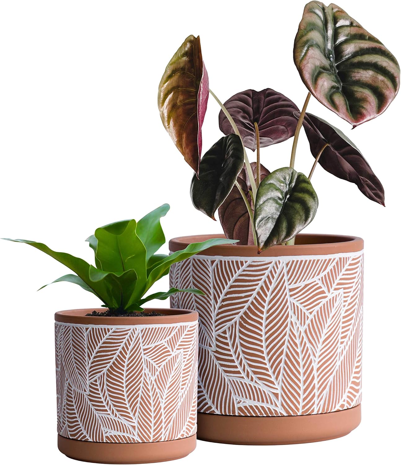 D'vine Dev Set of 2 Terracotta Pots, Leaves Pattern Planter Pot, 4 Inch and 6 Inch, Pot with Drainage Hole and Saucer, Terracotta/White, 31-958-I-1