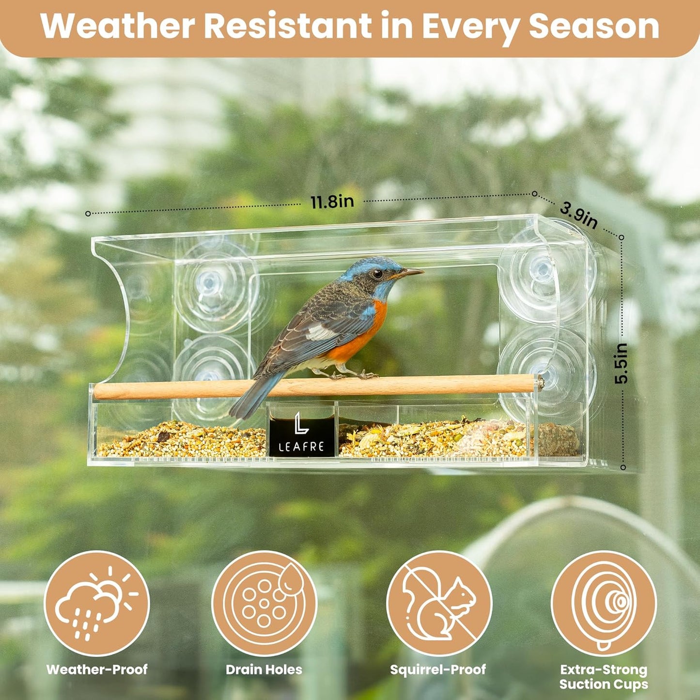 Clear Acrylic Bird Window Feeder - 3 in 1 Seeds, Nectar & Water | Easy-Cleaning & Removable Feeding Tray | Modern Style Wooden Stand | Bird Watching Gifts