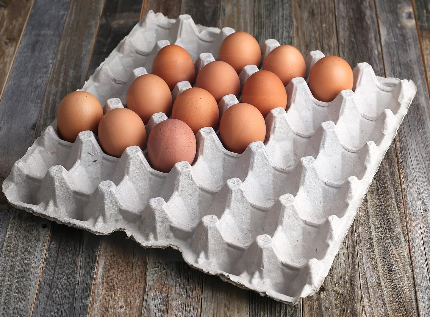 MT Products Pulp Fiber Egg Flat Cartons Holds 30 Eggs - Egg Crate for Chicken Farm (Pack of 15) - Made in the USA