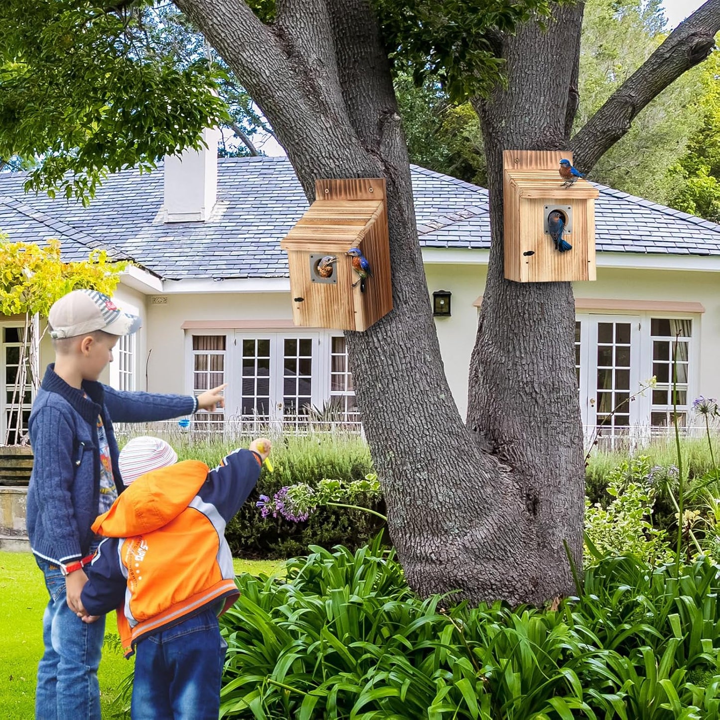 Dreyoo 2 Pack Cedar Bluebird Box Houses for Outside, 1-1/2” Entrance Hole Wooden Bird Houses with Metal Predator Guard, Secure Latch, Fledgling Grooves, Air Vents for Bluebird Wren Swallow Finch