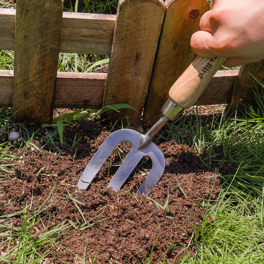 Berry&Bird Gardening Hand Fork, Stainless Steel Hand Weed Fork, Traditional Garden Hand Fork Tool with Ergonomic Ash Wood Handle for Weeding, Digging, Planting and Cultivating