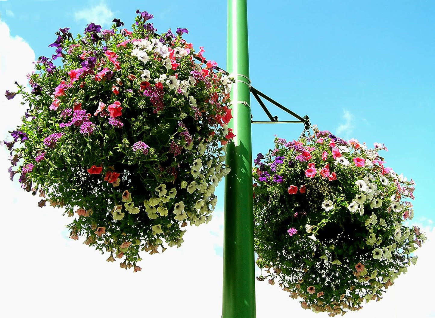 Soil Moist Mats For Hanging Baskets Planters and Containers 6pc Pack