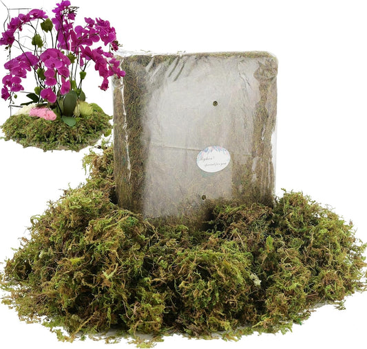 BYHER 19 OZ Fake Moss for Potted Plants Indoor, Artificial Moss for DIY Crafts, Faux Decroative Moss for Fake Plants Home & Garden Wedding Decor (Fresh Green - 540gr)