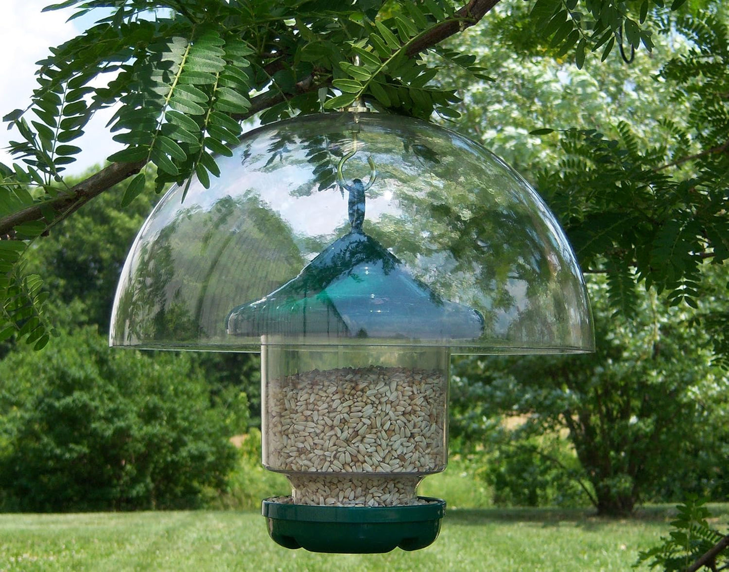 Songbird Essentials Unbreakable 12 Inch Hanging Bird Feeder Baffle - C