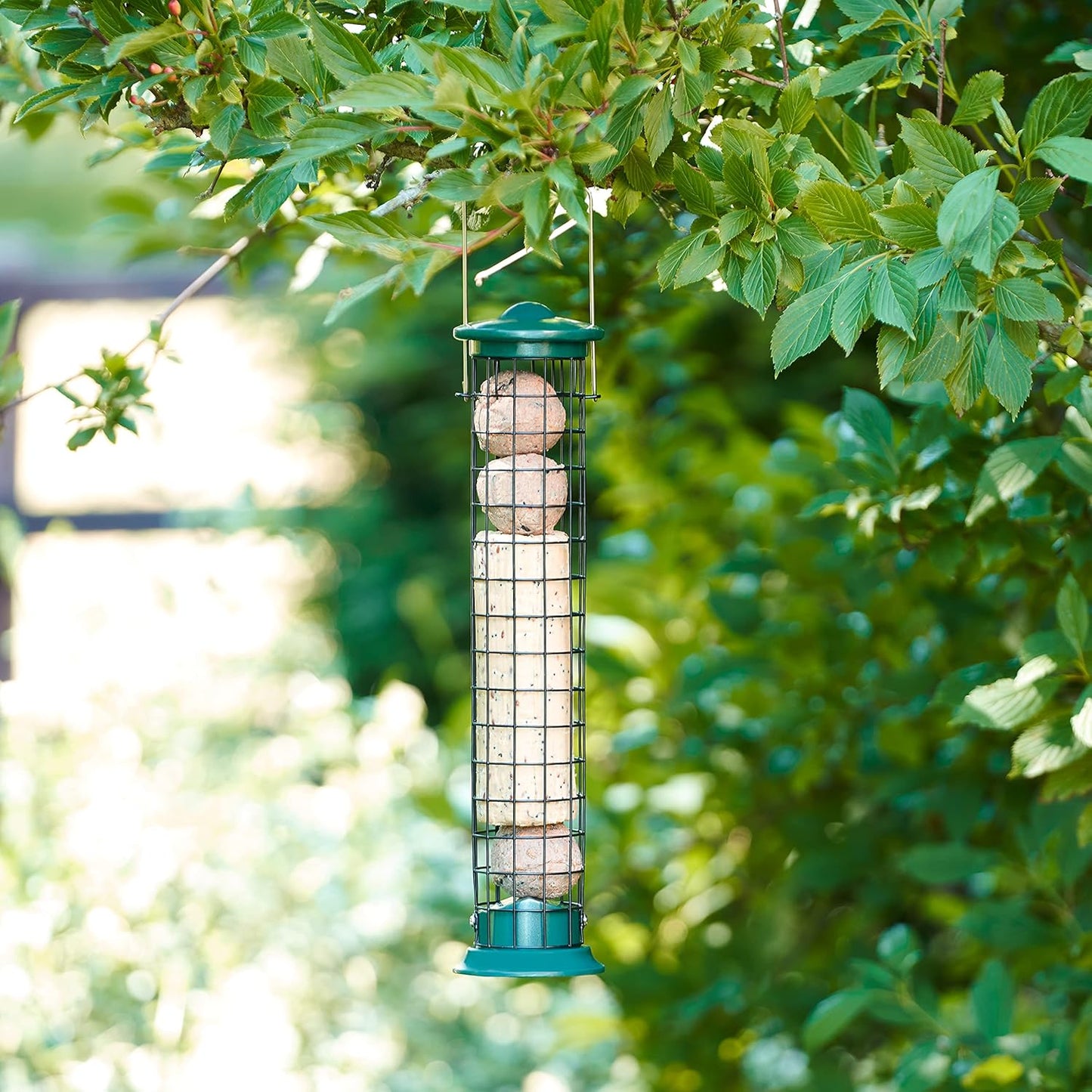 Walter Harrison's Green Die Cast Wild Bird Suet Roll and Fat Ball Hard-Wearing Hanging Feeder - 40 cm