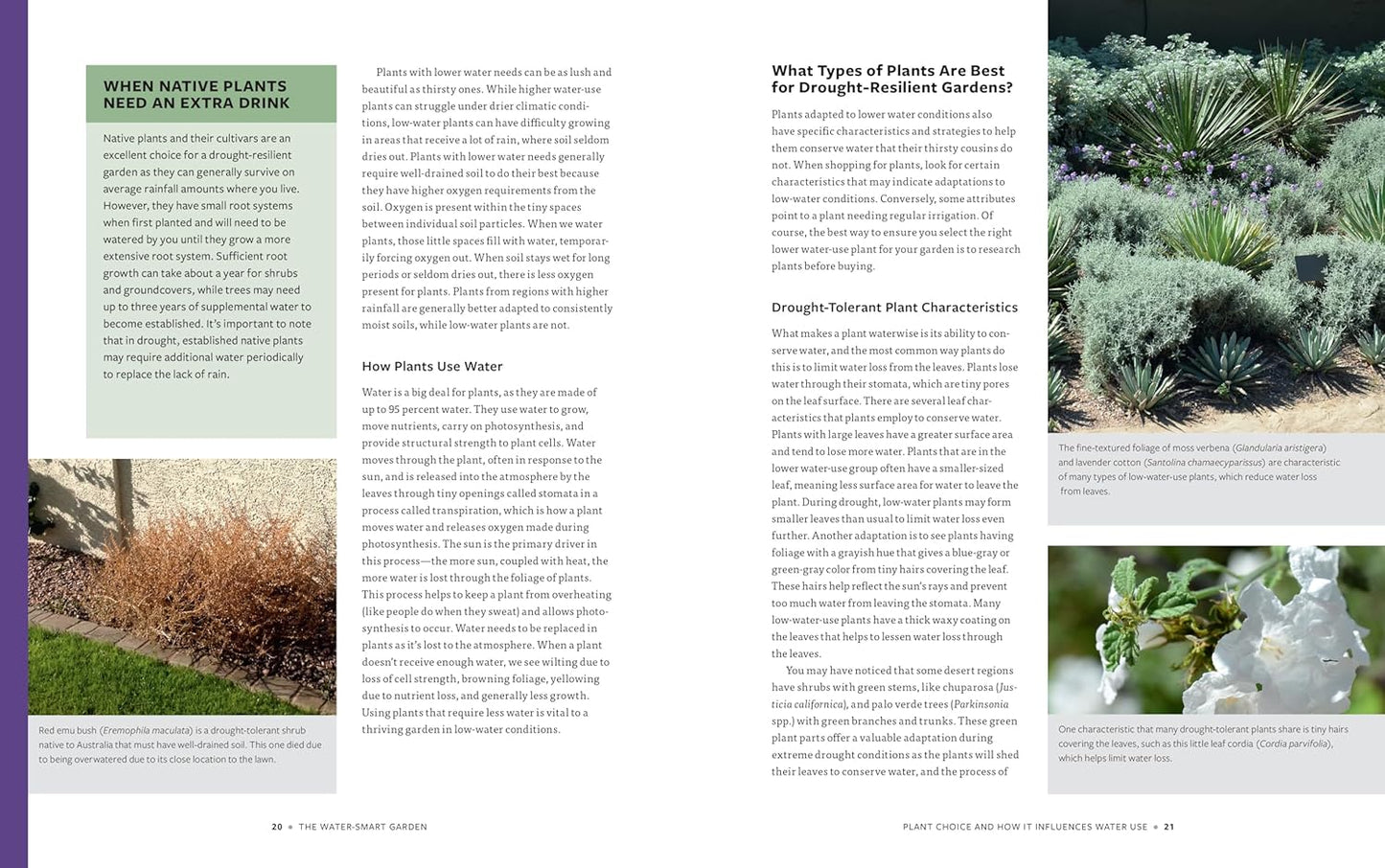 The Water-Smart Garden: Techniques and Strategies for Conserving, Capt
