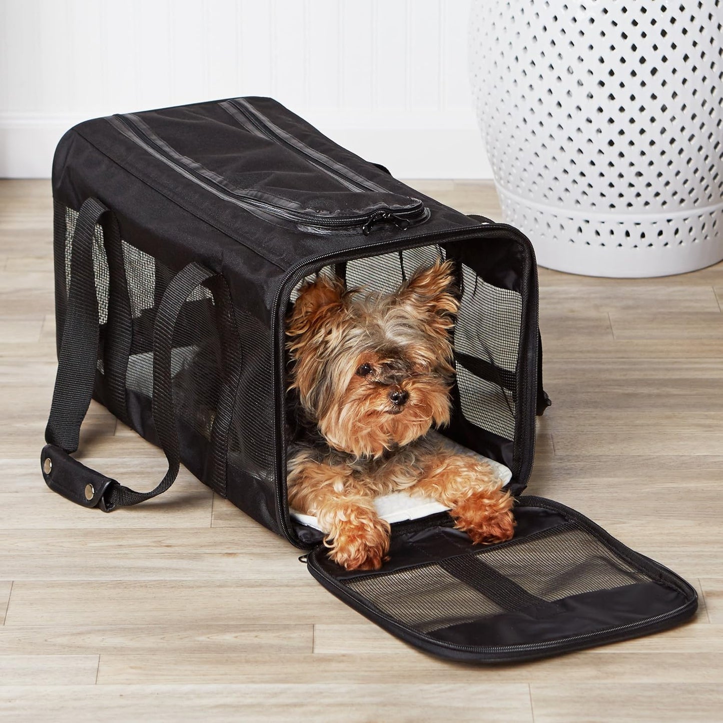 Amazon Basics Airline Approved Soft-Sided Mesh Pet Travel Carrier with