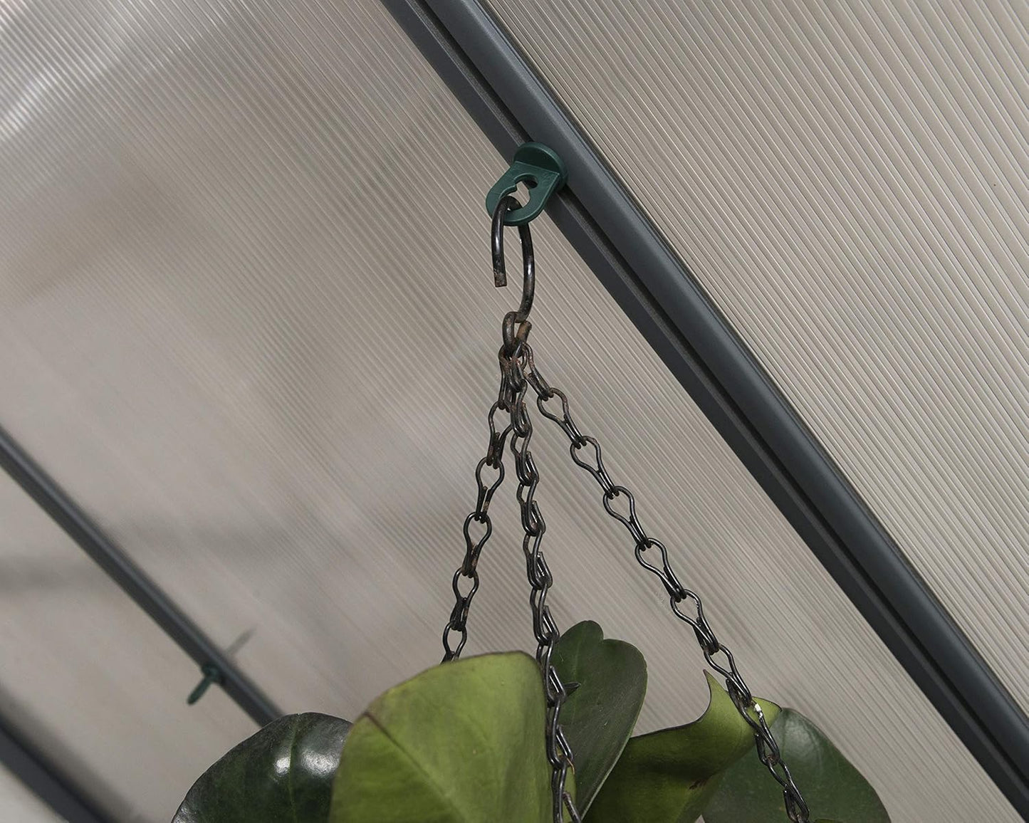Palram - Canopia Plant Hangers for Canopia Greenhouses