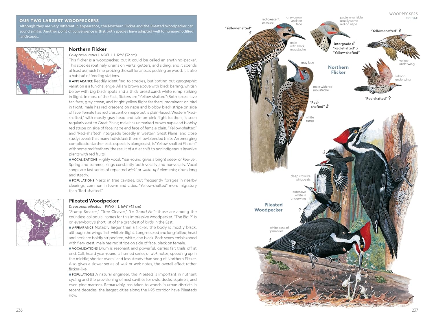 National Geographic Field Guide to the Birds of the United States and 