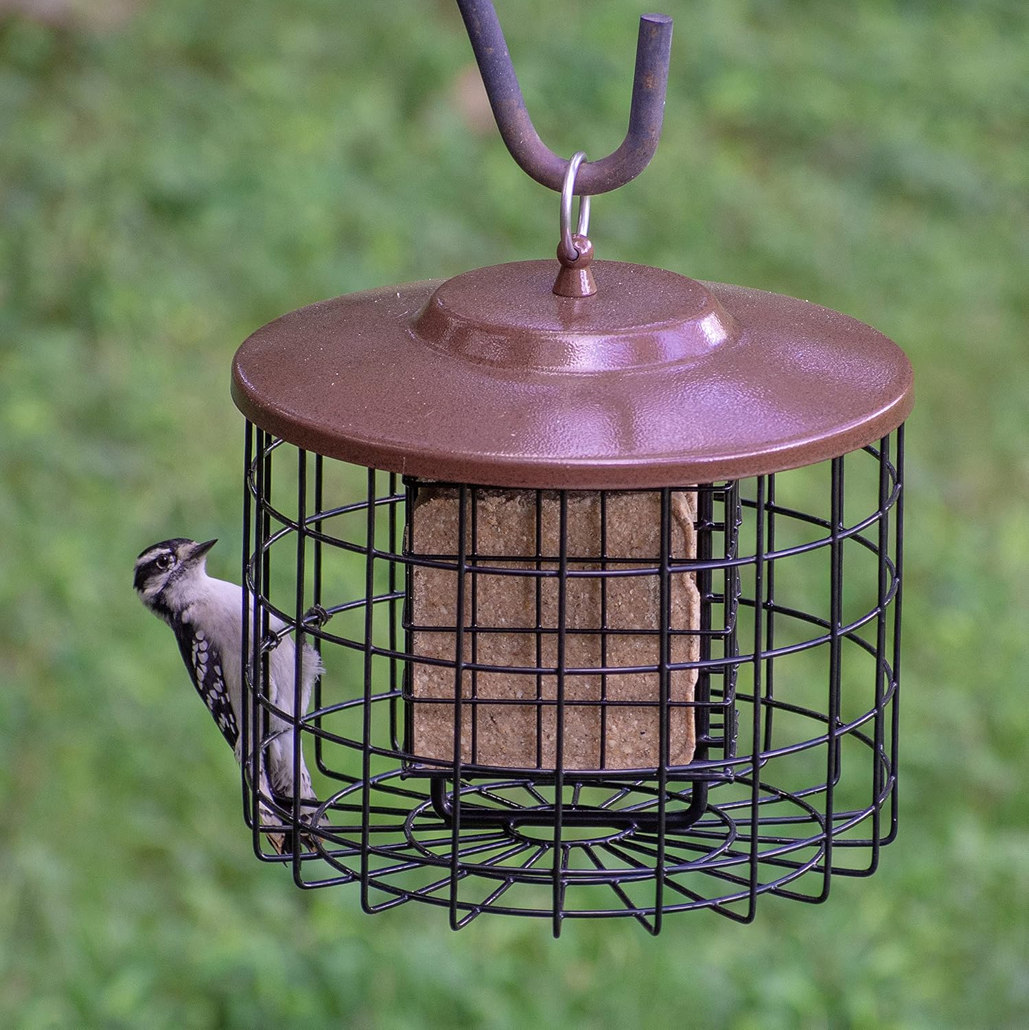 Squirrel Solution200 Squirrel-Proof Bird Feeder w/6 Feeding Ports, 3.4