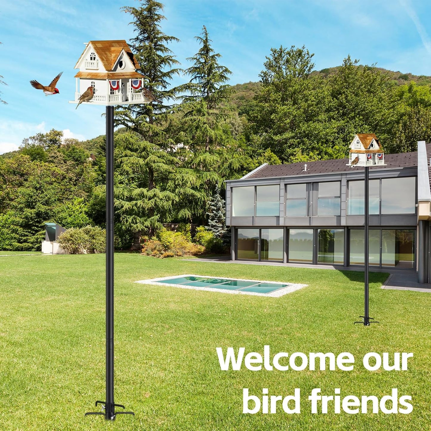 Bird Feeder Pole, 60 Inch Bird Feeder House Pole Stand for Outdoors Heavy Duty Outside Buddy Accessories with 5-Pronged Base, Matte Black, 2 Pack