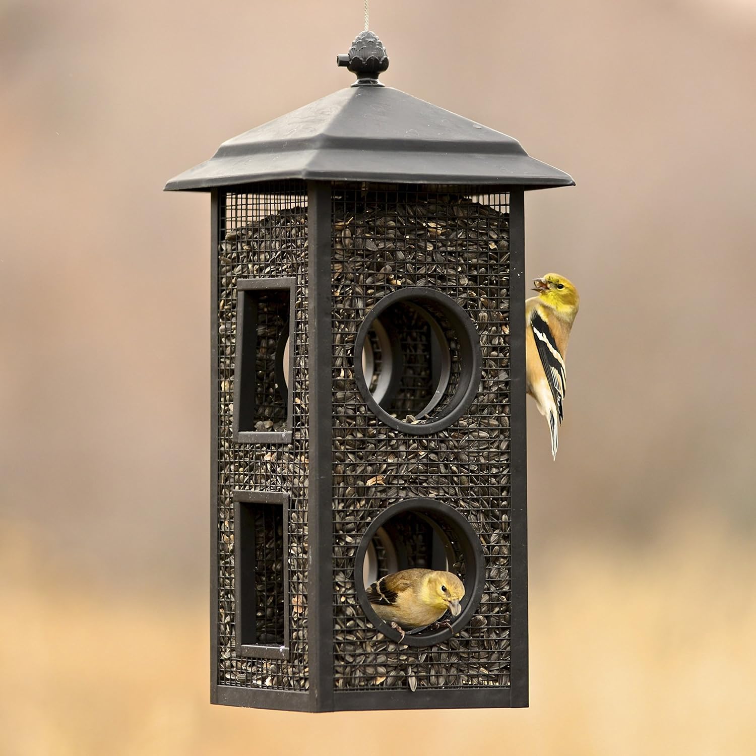 Perky-Pet Fly-Thru Wild Bird Feeder - 2 lb Capacity for Black-Oil Sunf