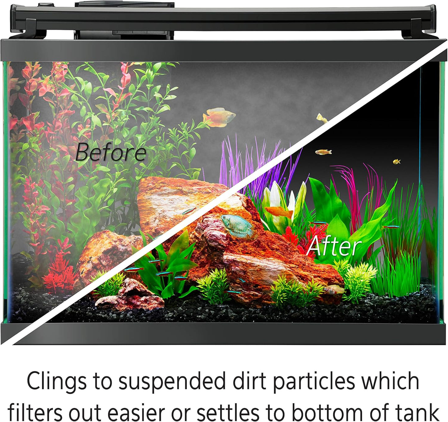 Aqueon Freshwater Aquarium Water Clarifier, Clears Cloudy Fish Tank Wa