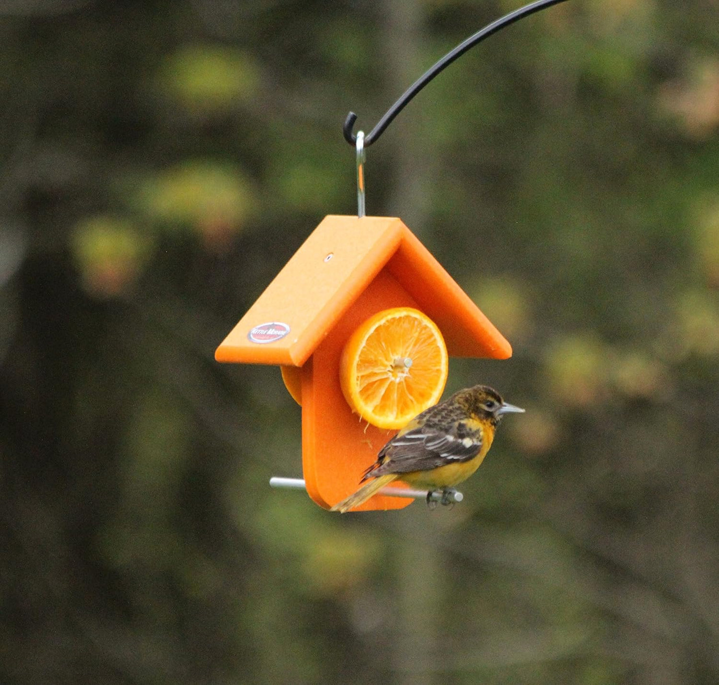 Kettle Moraine Recycled Single Oriole Orange Fruit Feeder
