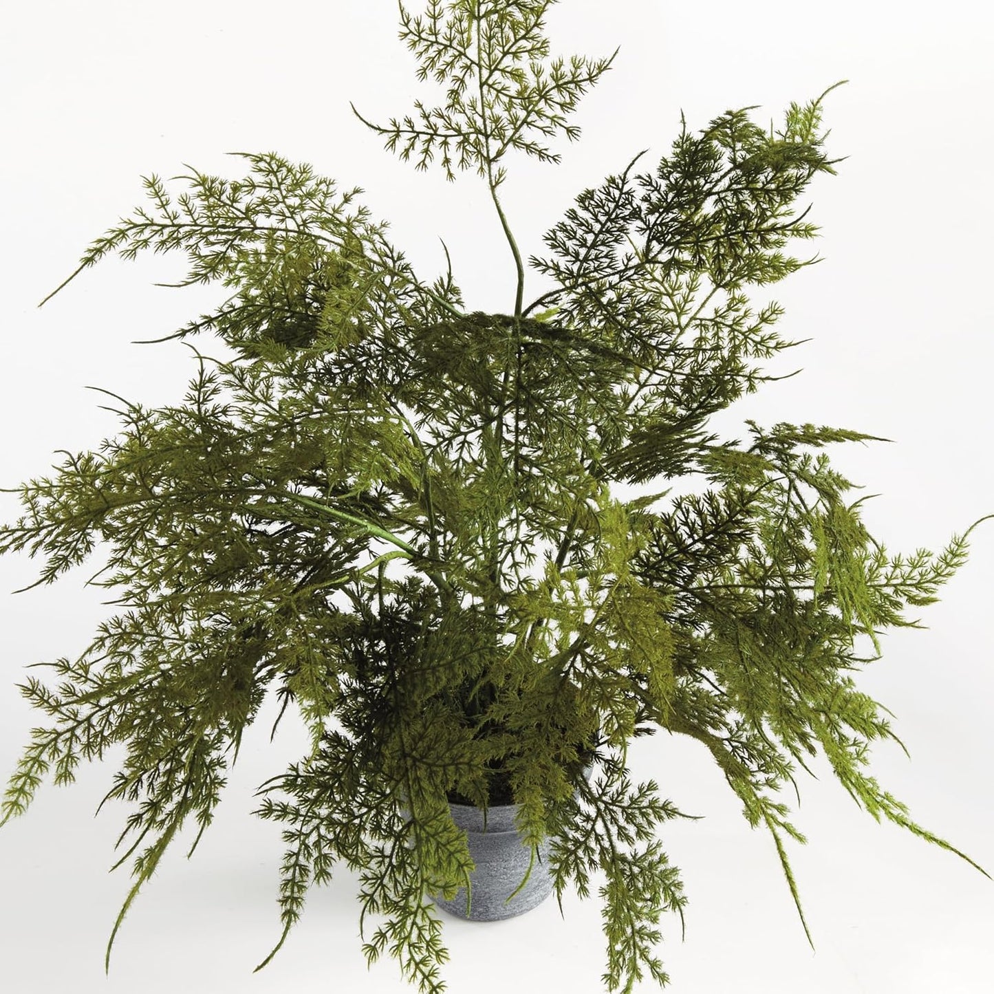 NAPA Home & Garden Plumosa Fern Drop-in 17" Artificial Plant for Interior Use