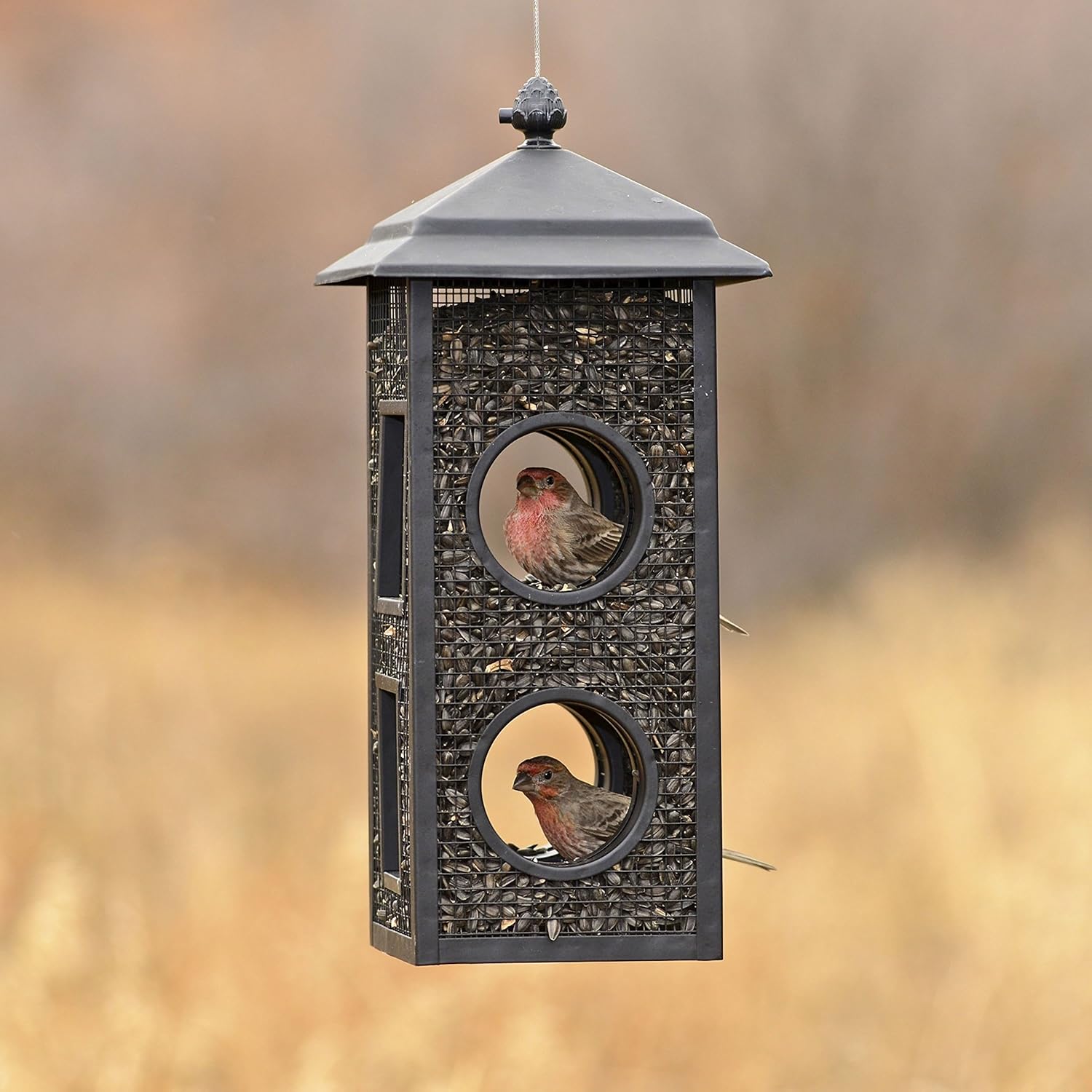 Perky-Pet Fly-Thru Wild Bird Feeder - 2 lb Capacity for Black-Oil Sunf