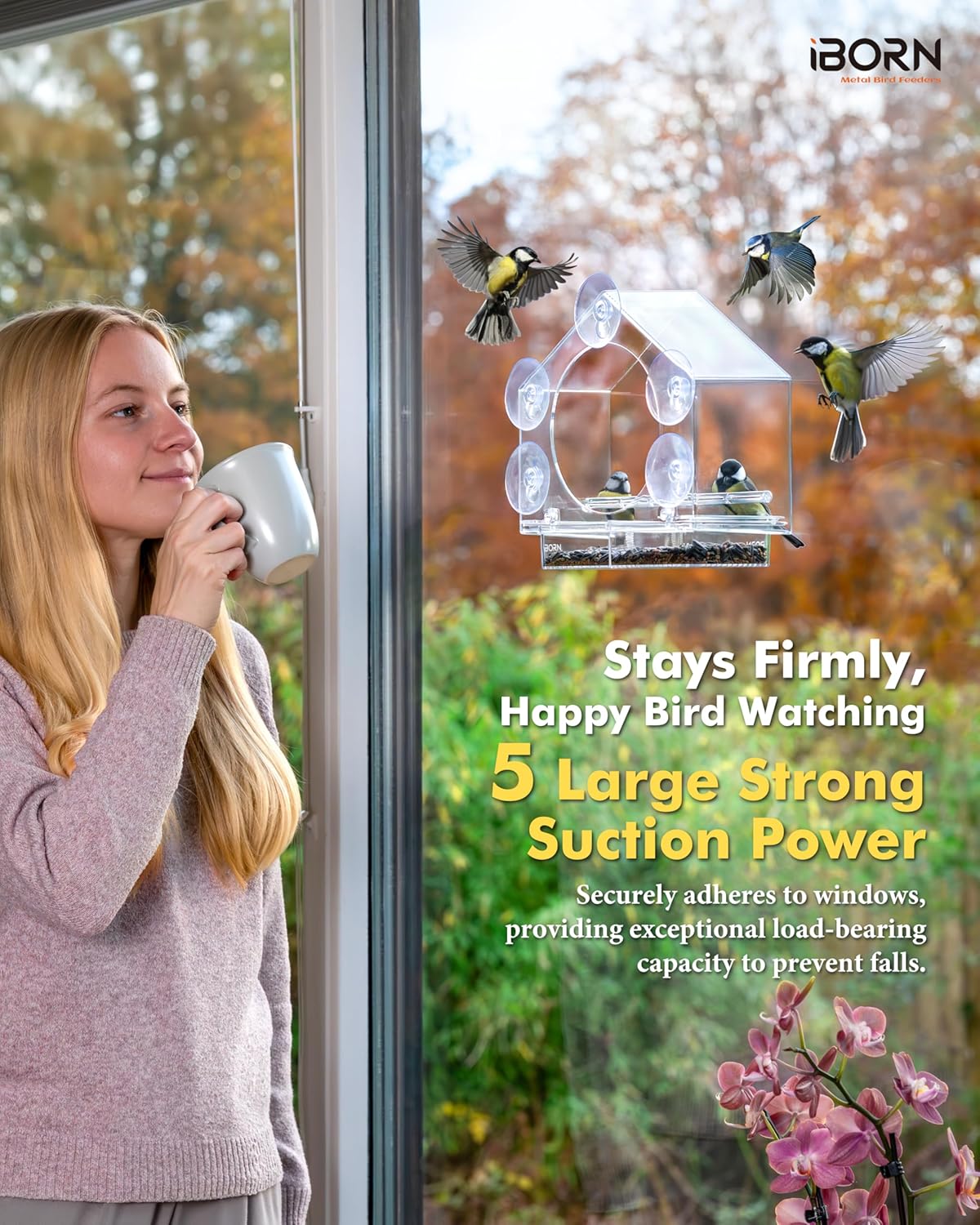 iBorn Bird Feeder Suction Cup, for iBorn Window Bird Feeder/Mini Hummi