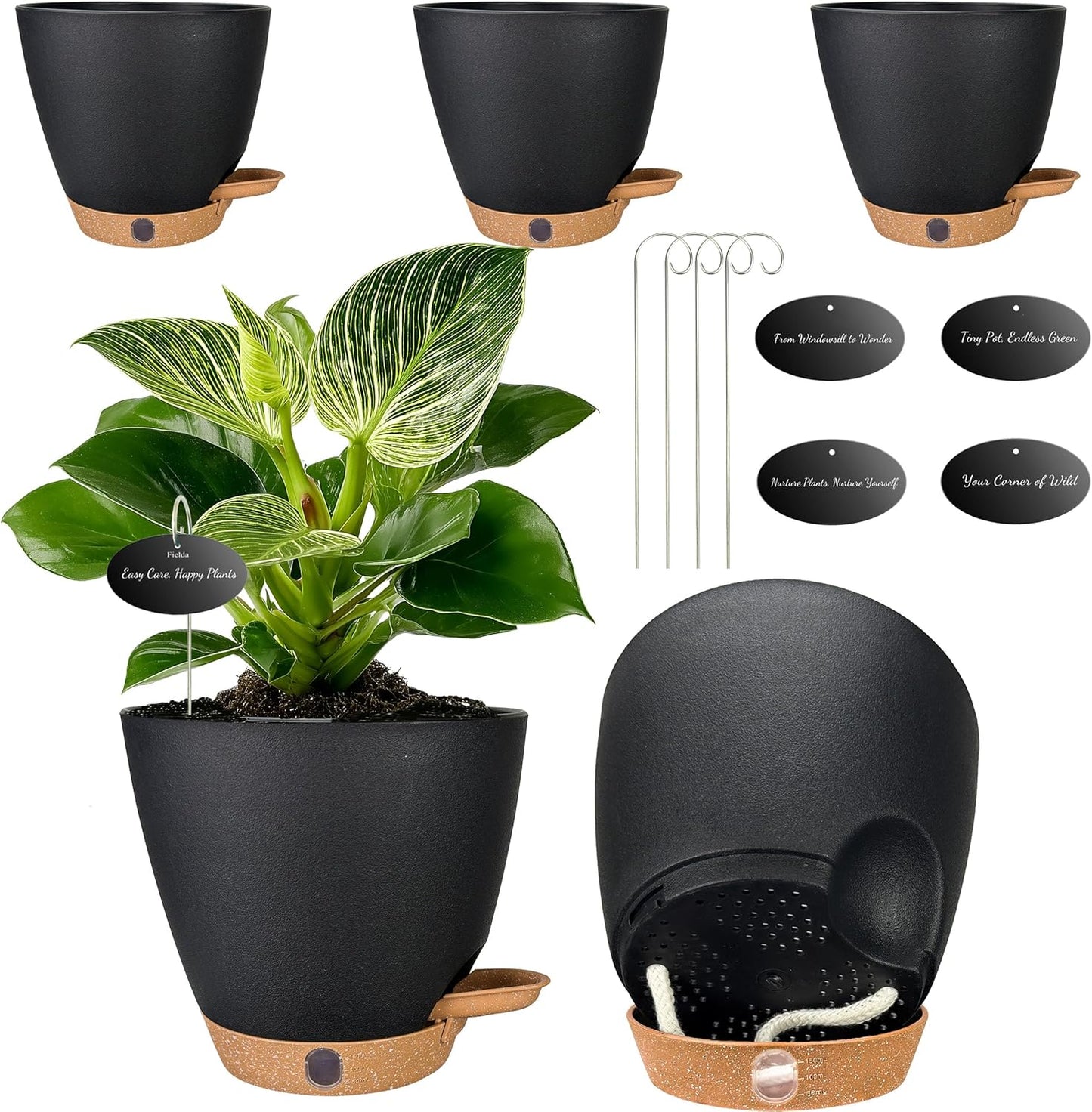 6 Inch Self Watering Pots for Indoor Plants (5-Pack) – Small Plastic P