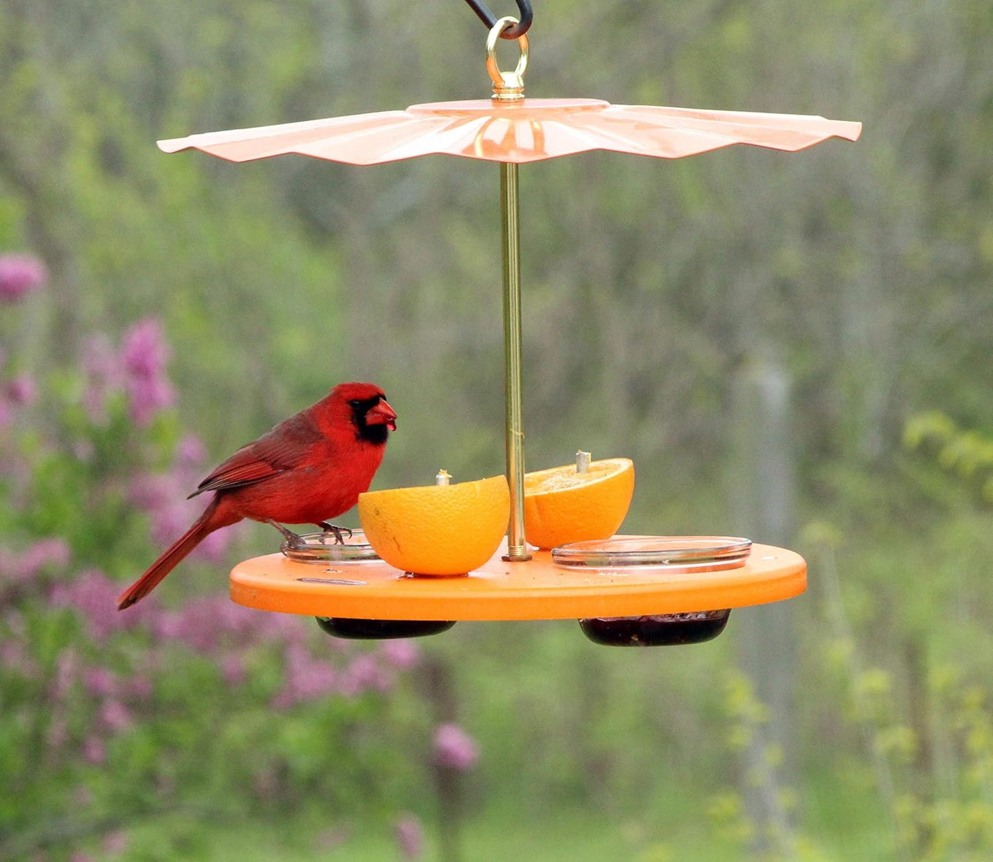 Kettle Moraine Super Oriole Recycled Orange Fruit, Jelly, Mealworm Bird Feeder w/Orange Roof