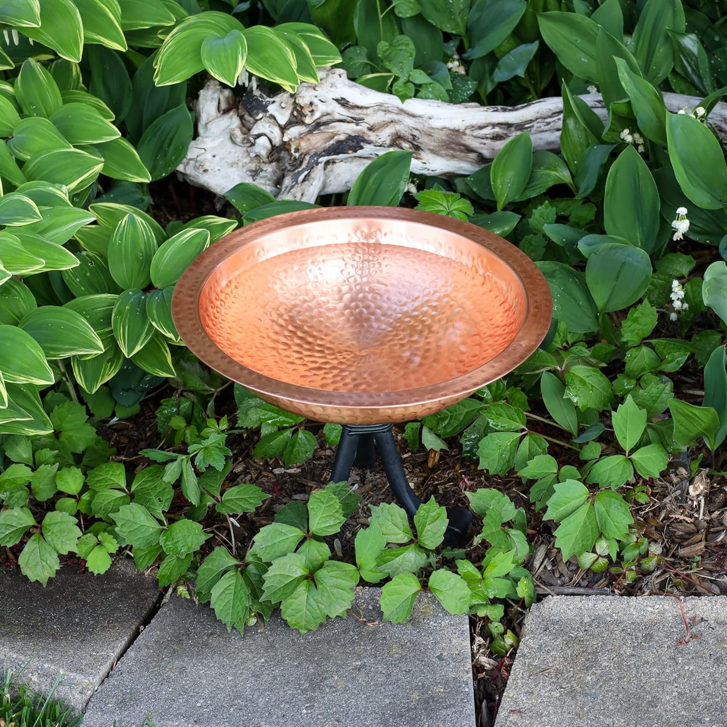 Achla Designs 201-4016 Hammered Solid Tripod Stand Birdbath, Satin Cop