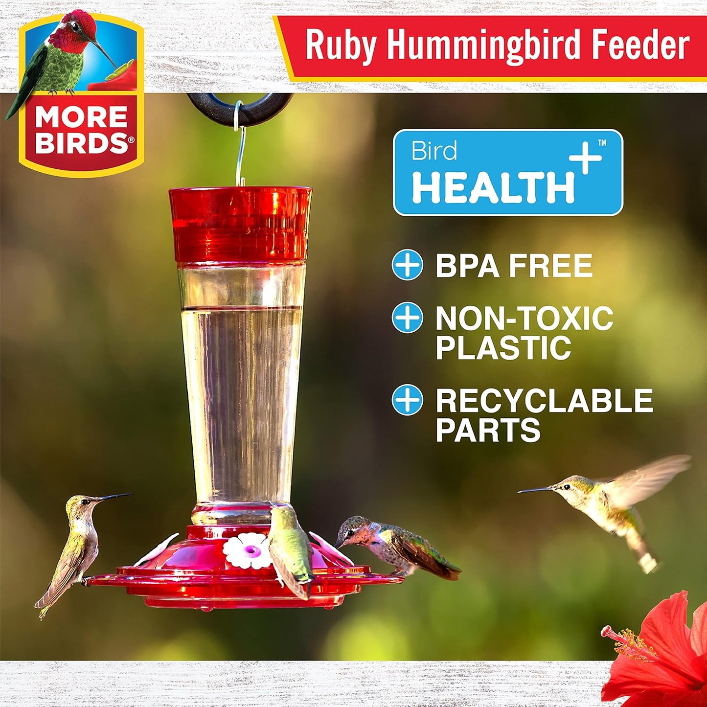 More Birds Ruby Hummingbird Feeder + Extension Hook