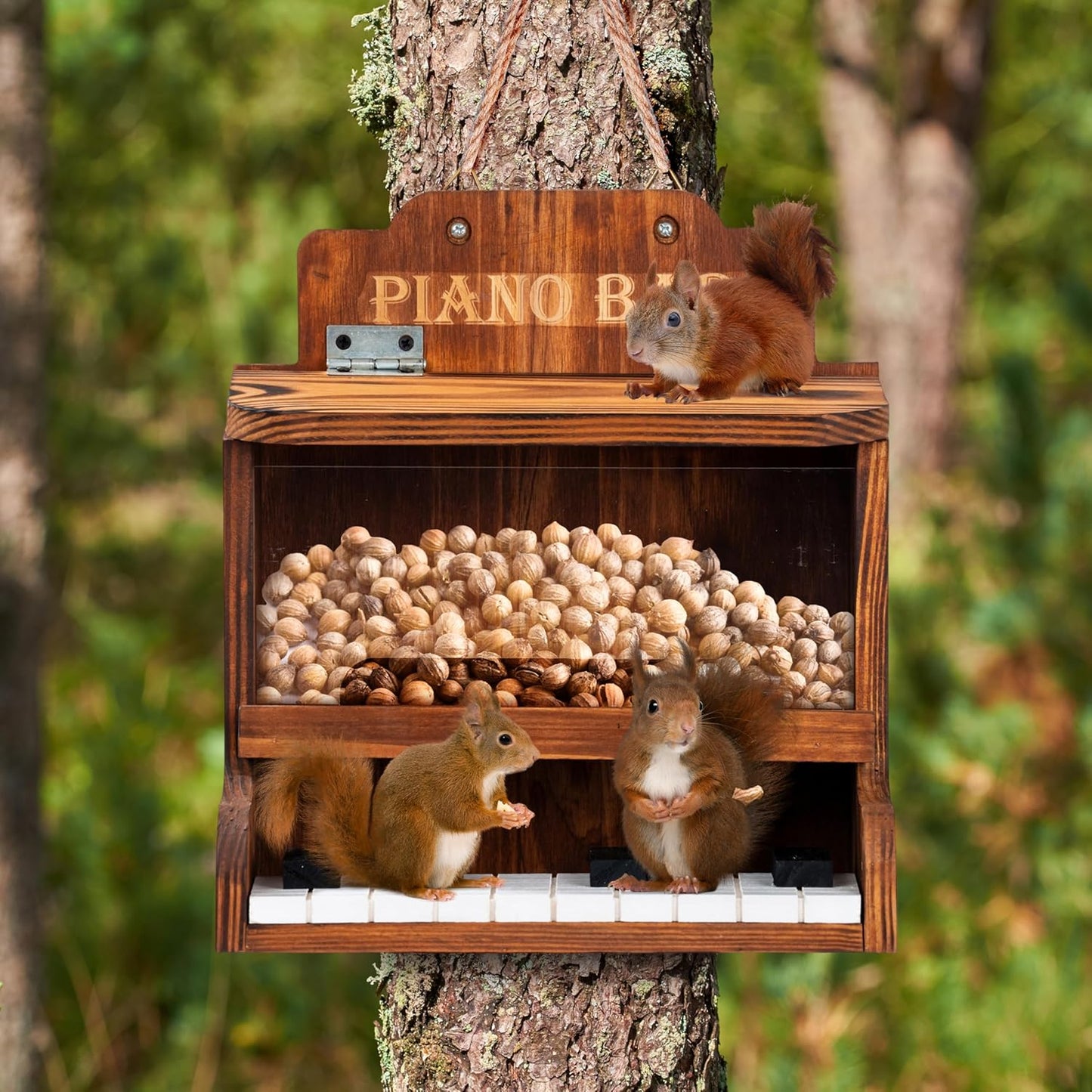 MIXUMON Wooden Squirrel Feeders Outdoor – Piano Bar Squirrel Feeder wi