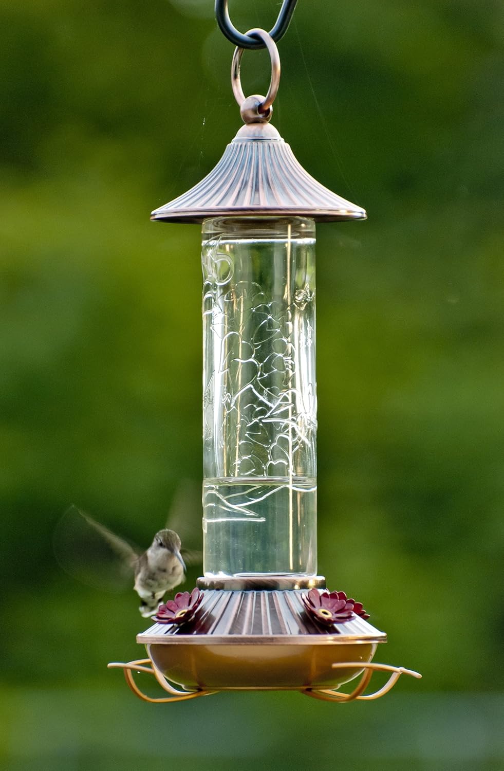 Audubon NA35240 Etched Glass Hummingbird Feeder, 14 oz, White