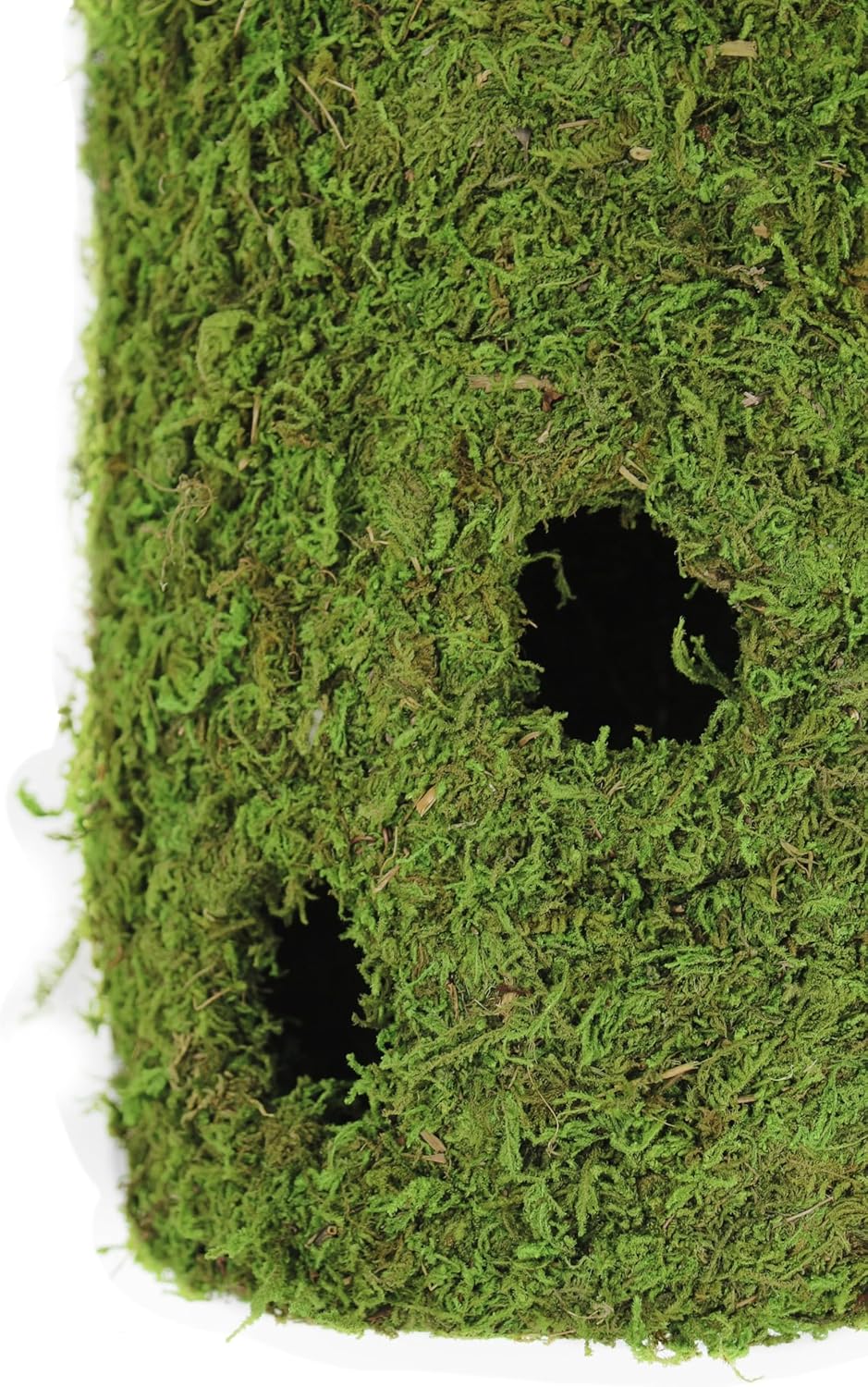 SuperMoss (29397) MossWeave Wall Sconce, Plant Hanger, Spring Green, 8