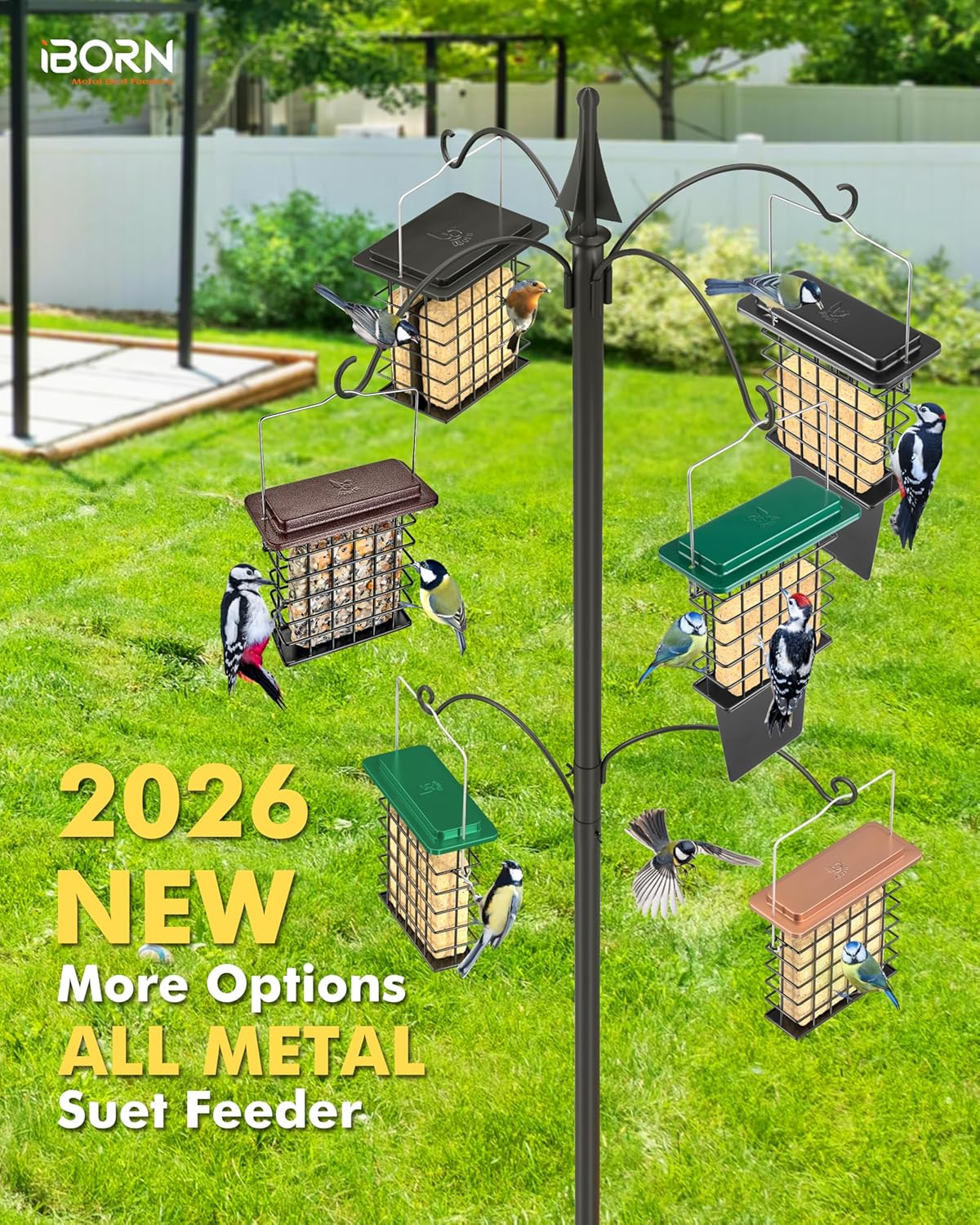 iBorn Suet Feeder Suet Bird Feeders [Single Capacity] for Outside Hang
