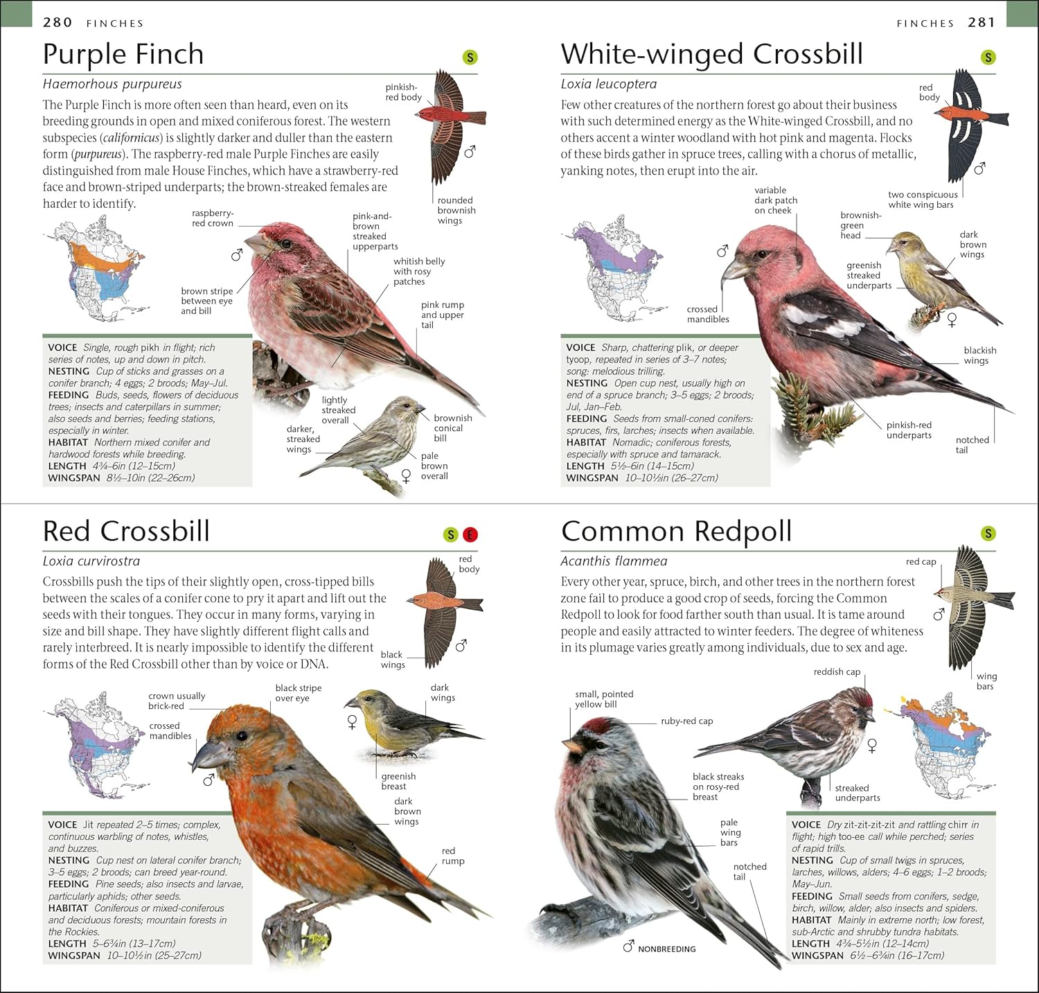 AMNH Pocket Birds of North America Eastern Region (American Museum of 