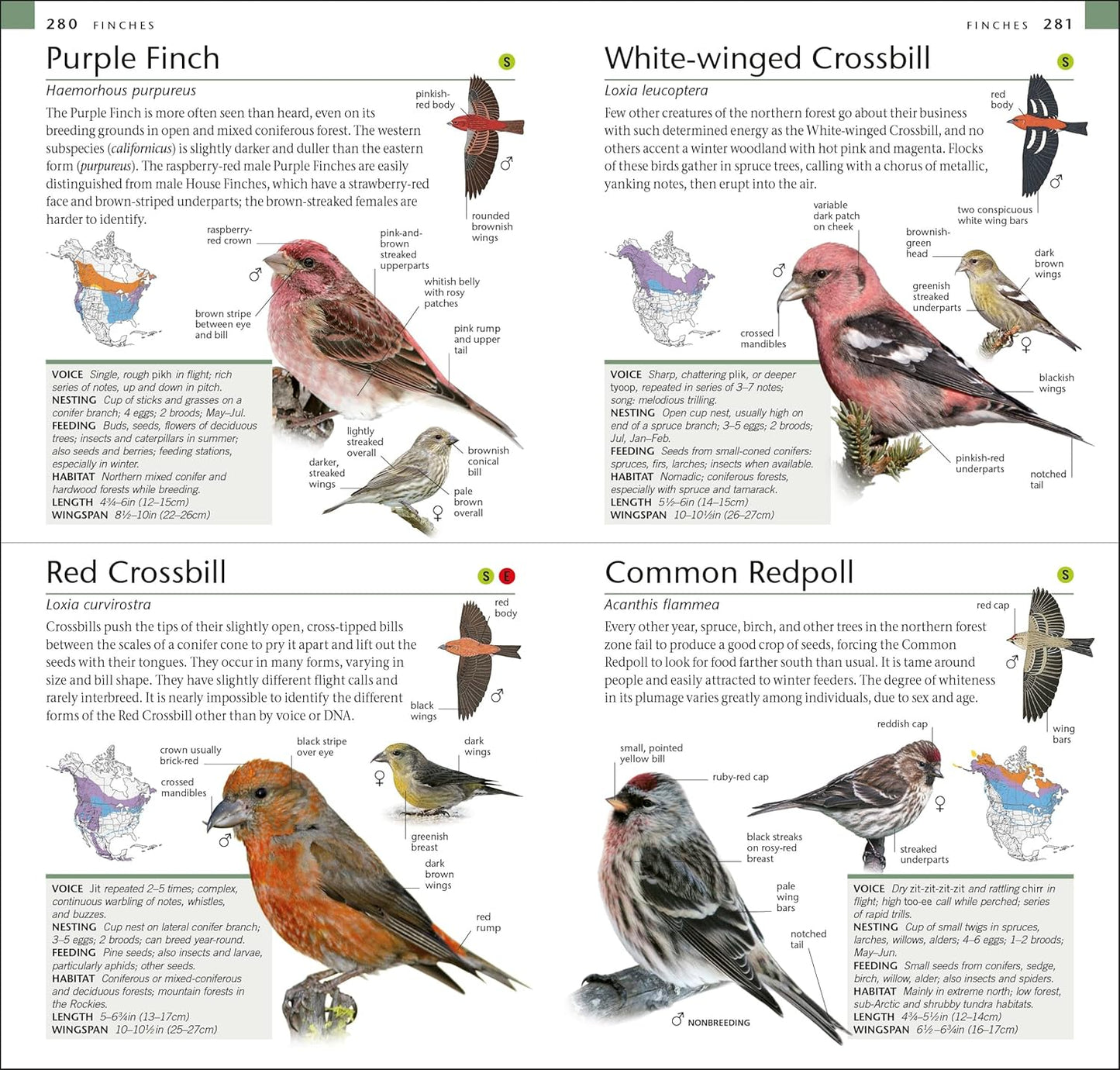 AMNH Pocket Birds of North America Eastern Region (American Museum of Natural History)